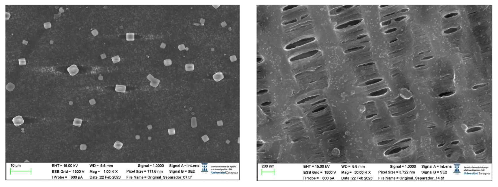 Preprints 91934 g042