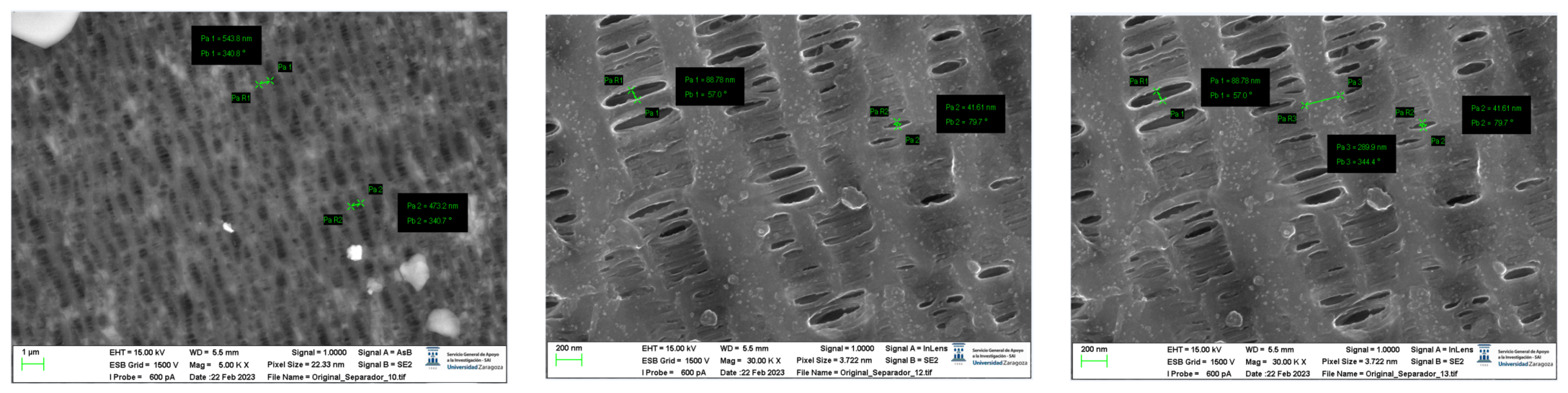 Preprints 91934 g043