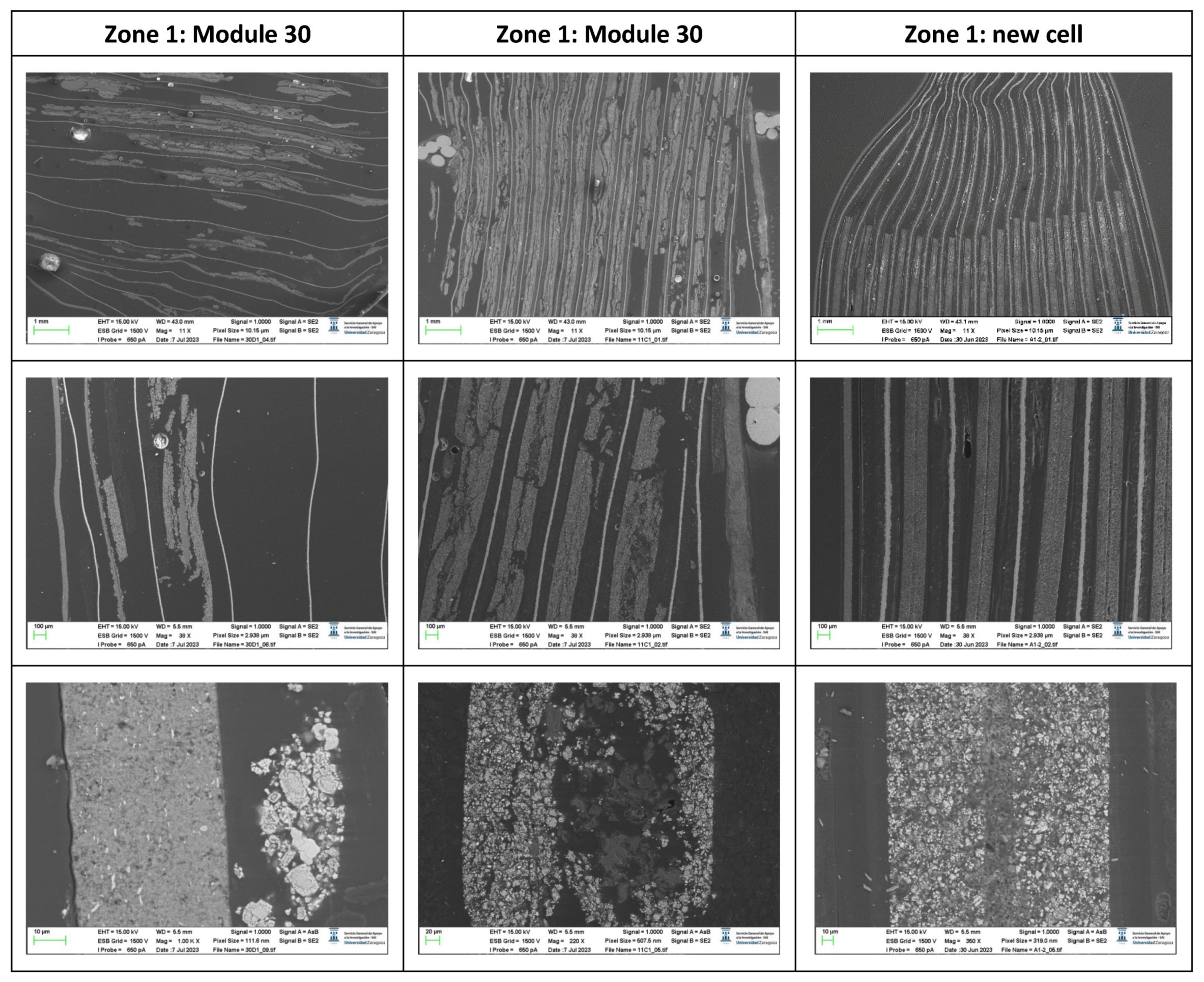 Preprints 91934 g050