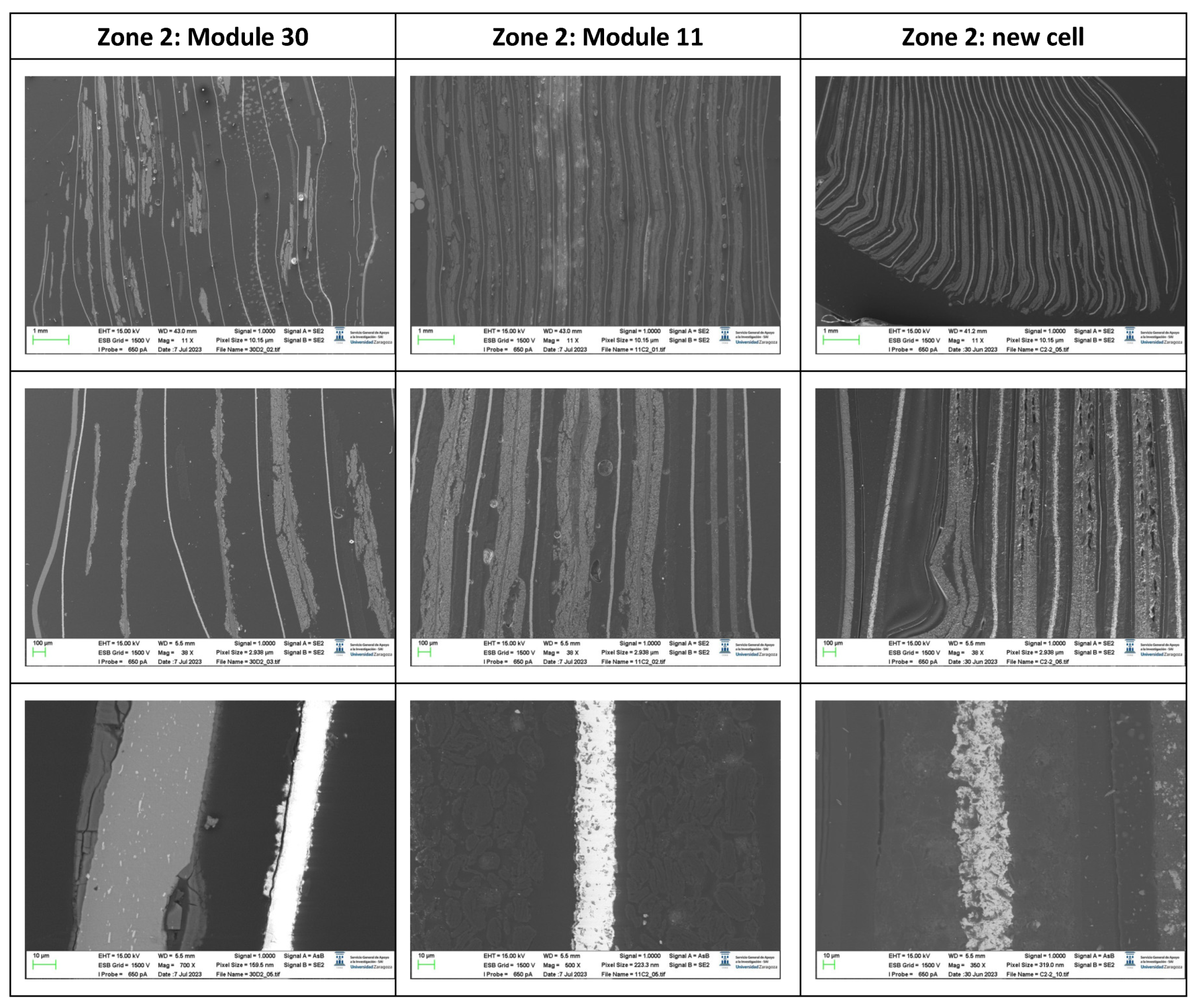 Preprints 91934 g054