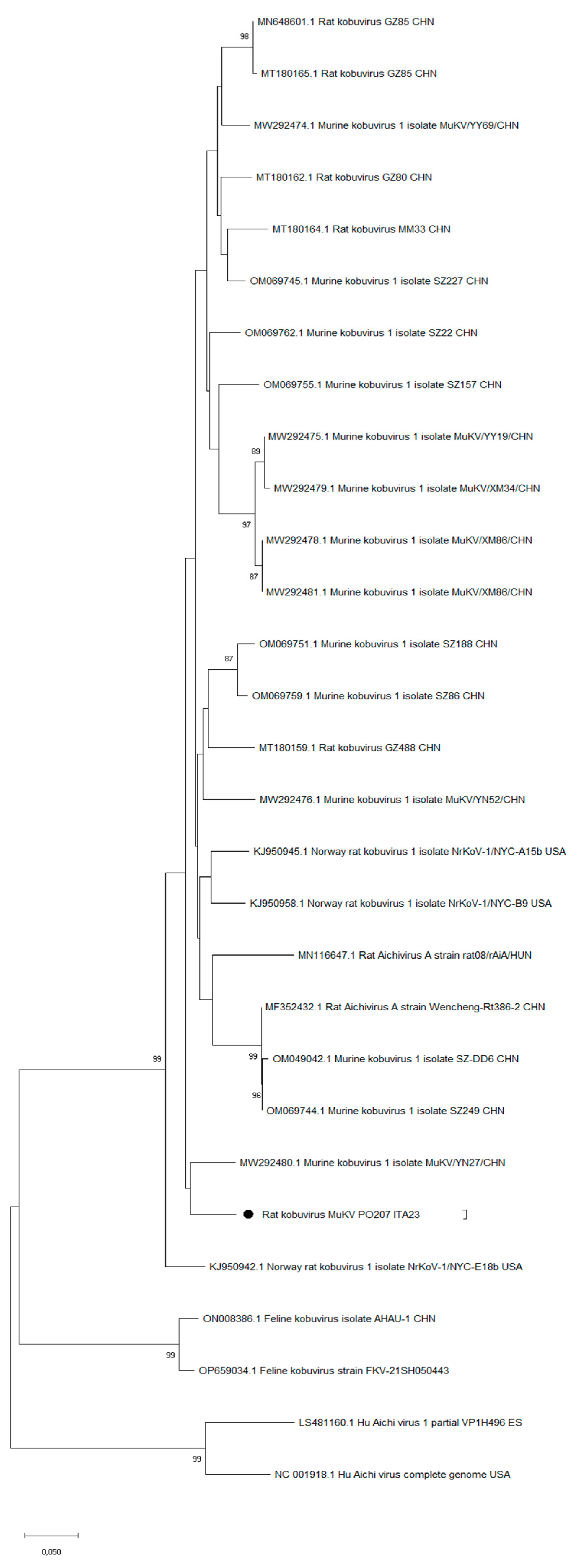 Preprints 94699 g001