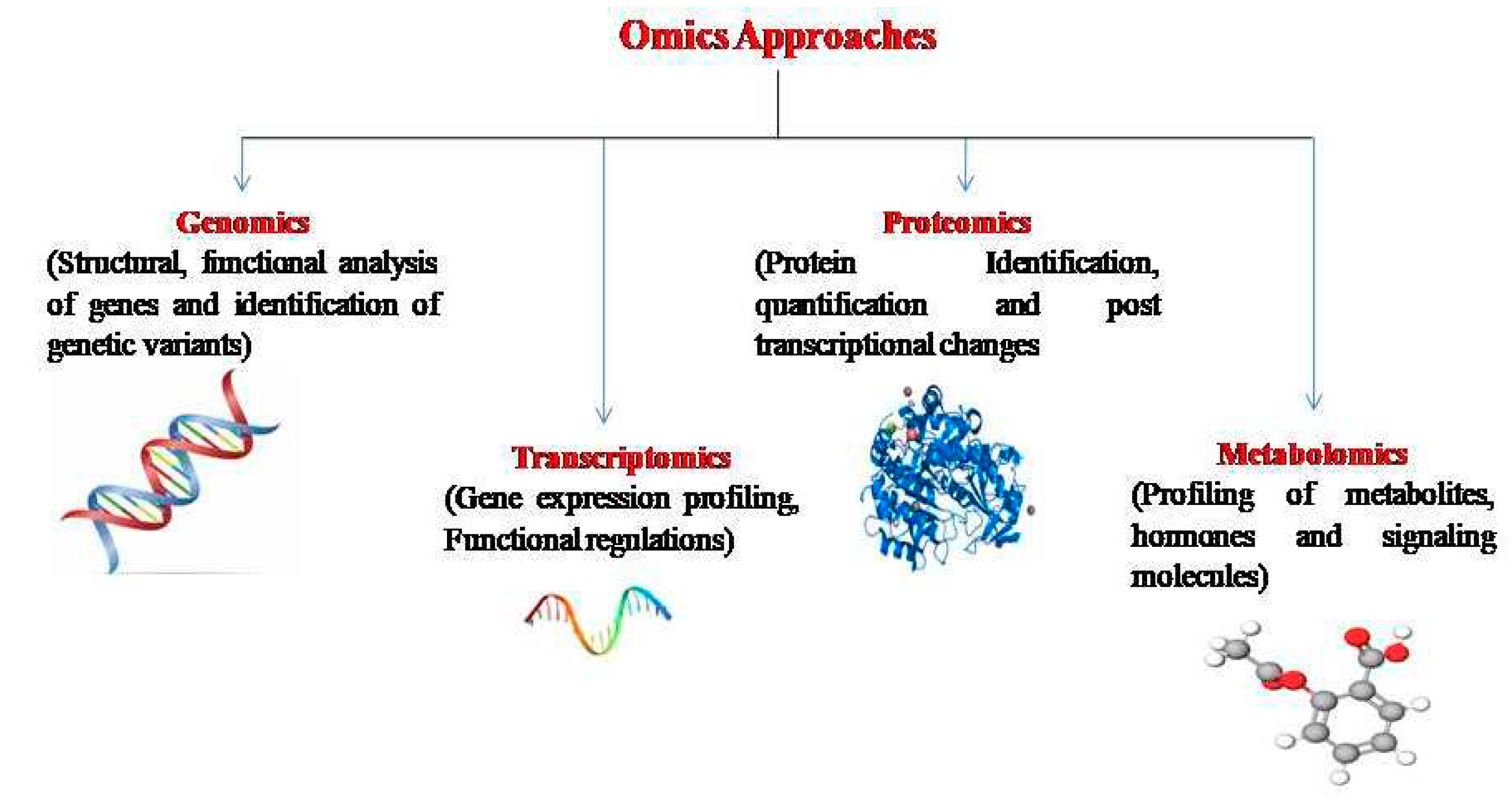 Preprints 86370 g002