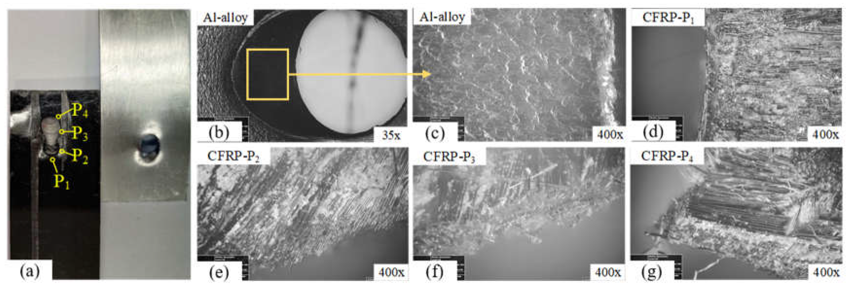 Preprints 69135 g014