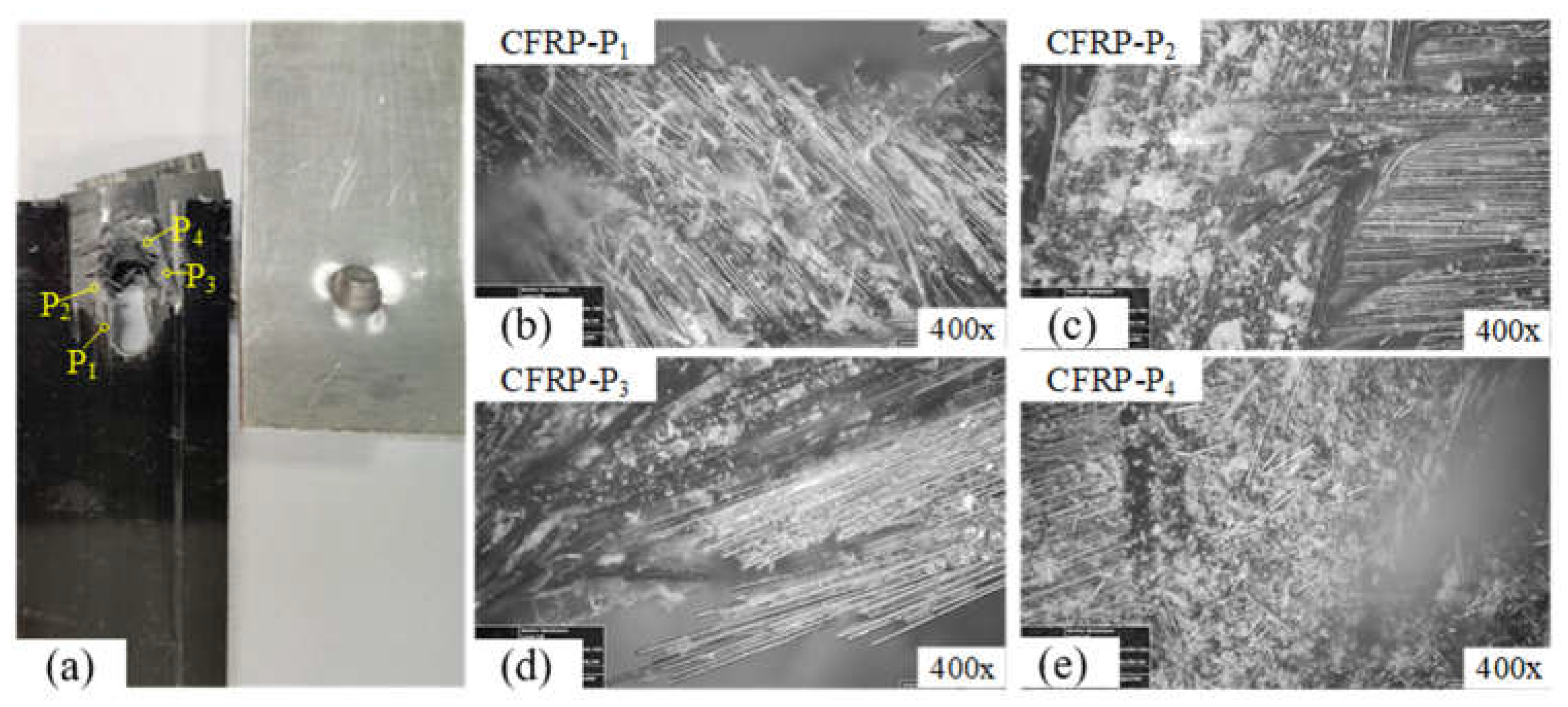 Preprints 69135 g015