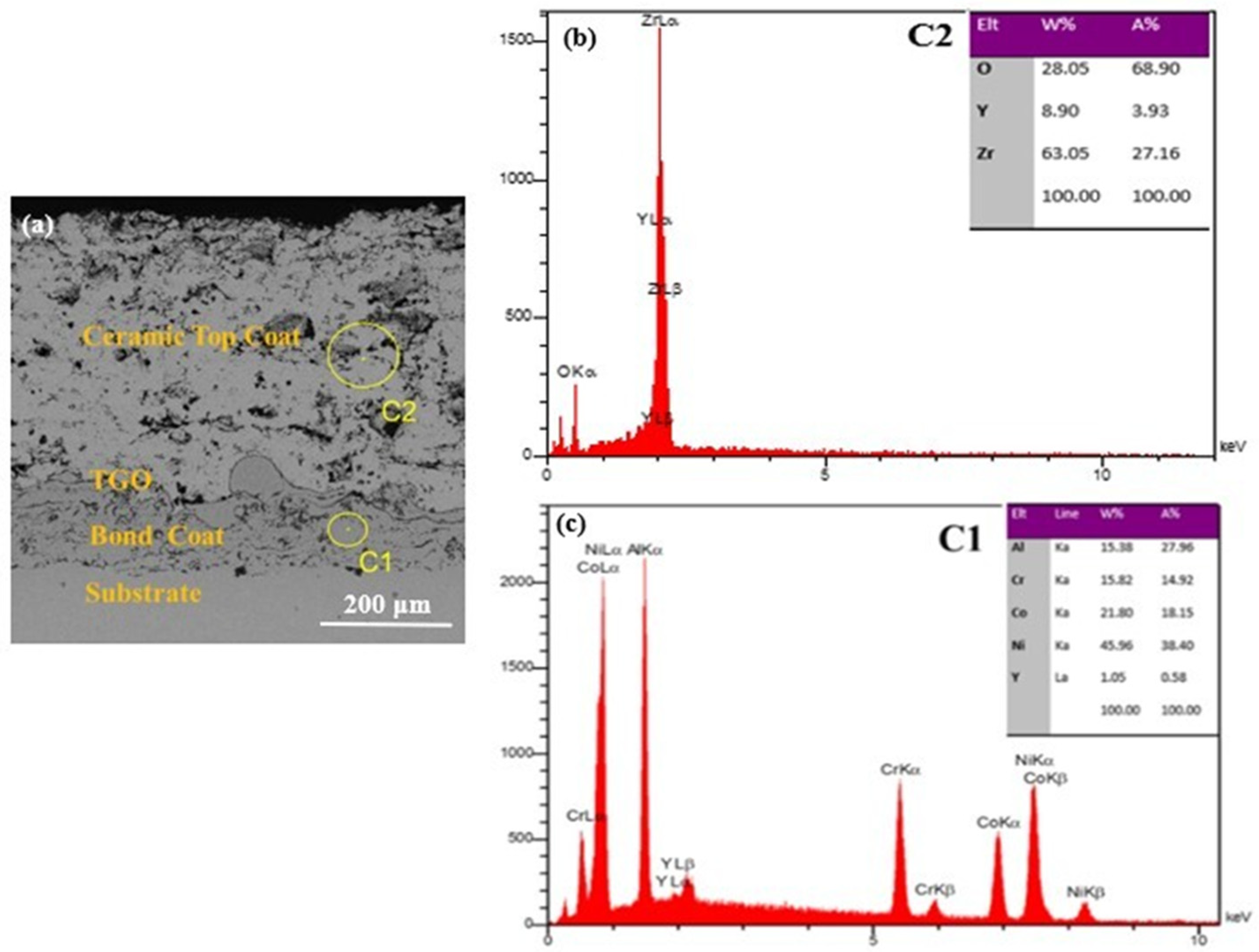 Preprints 83980 g002