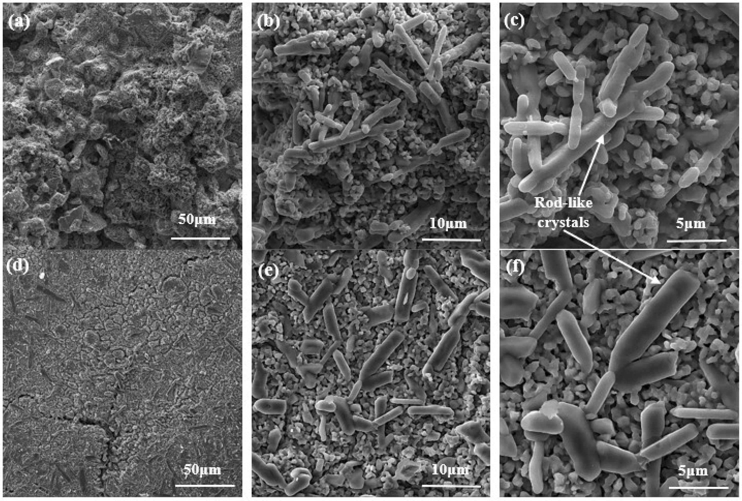 Preprints 83980 g015