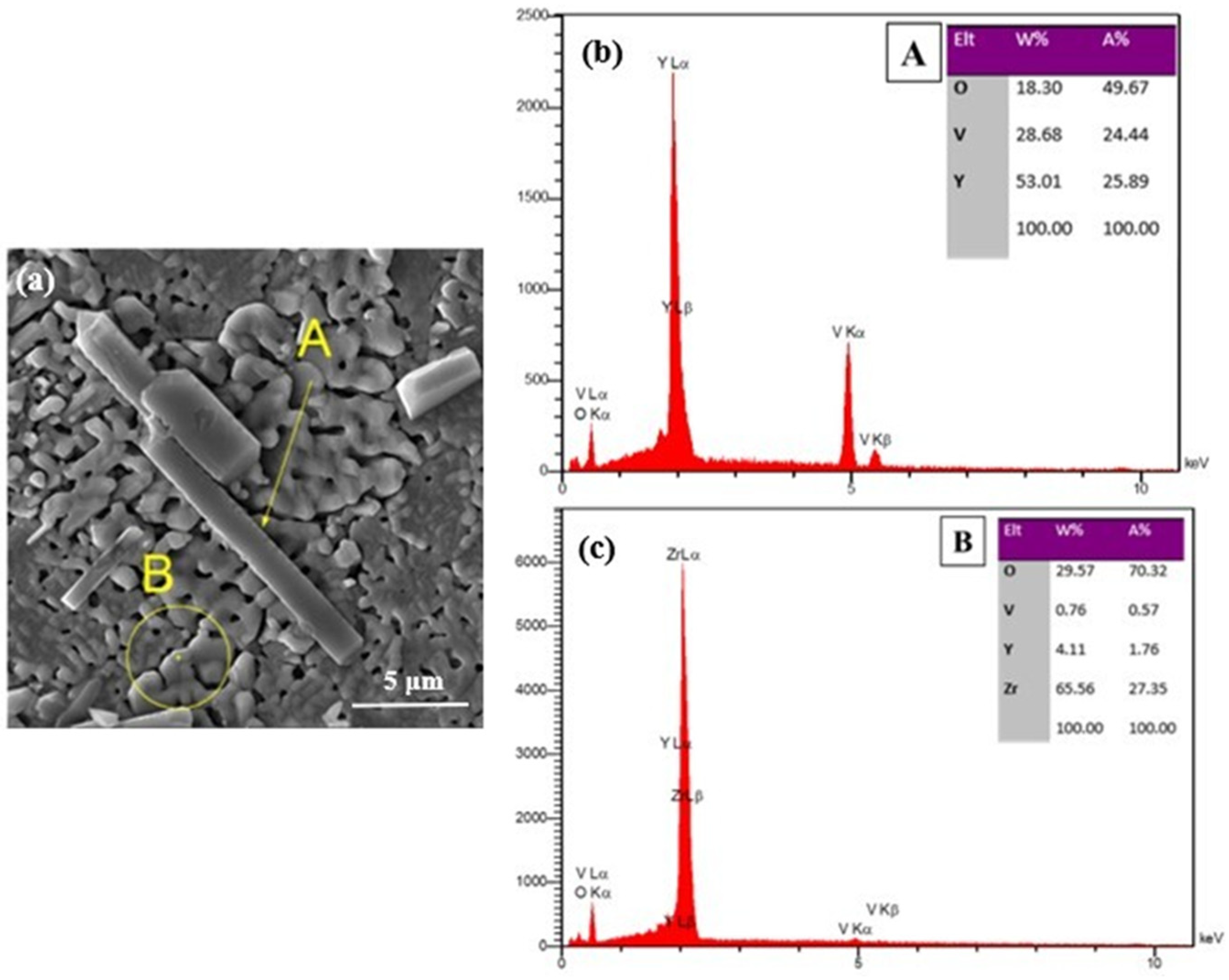 Preprints 83980 g017