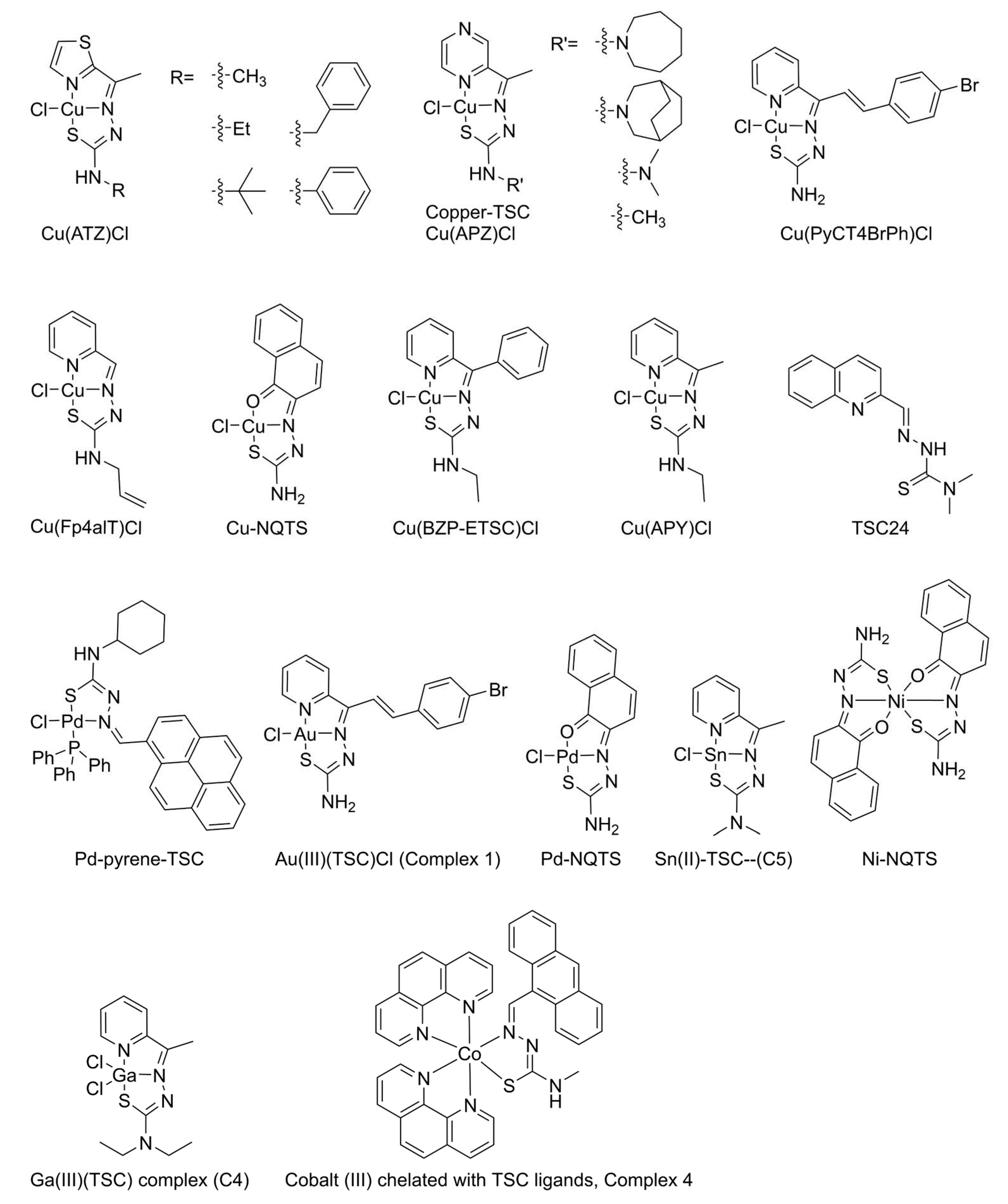 Preprints 77496 g001