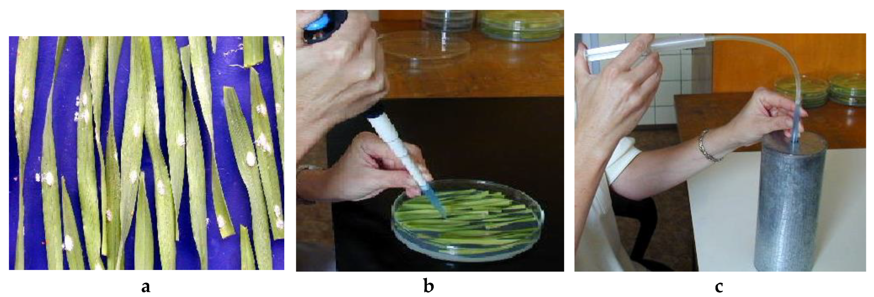 Preprints 86050 g002