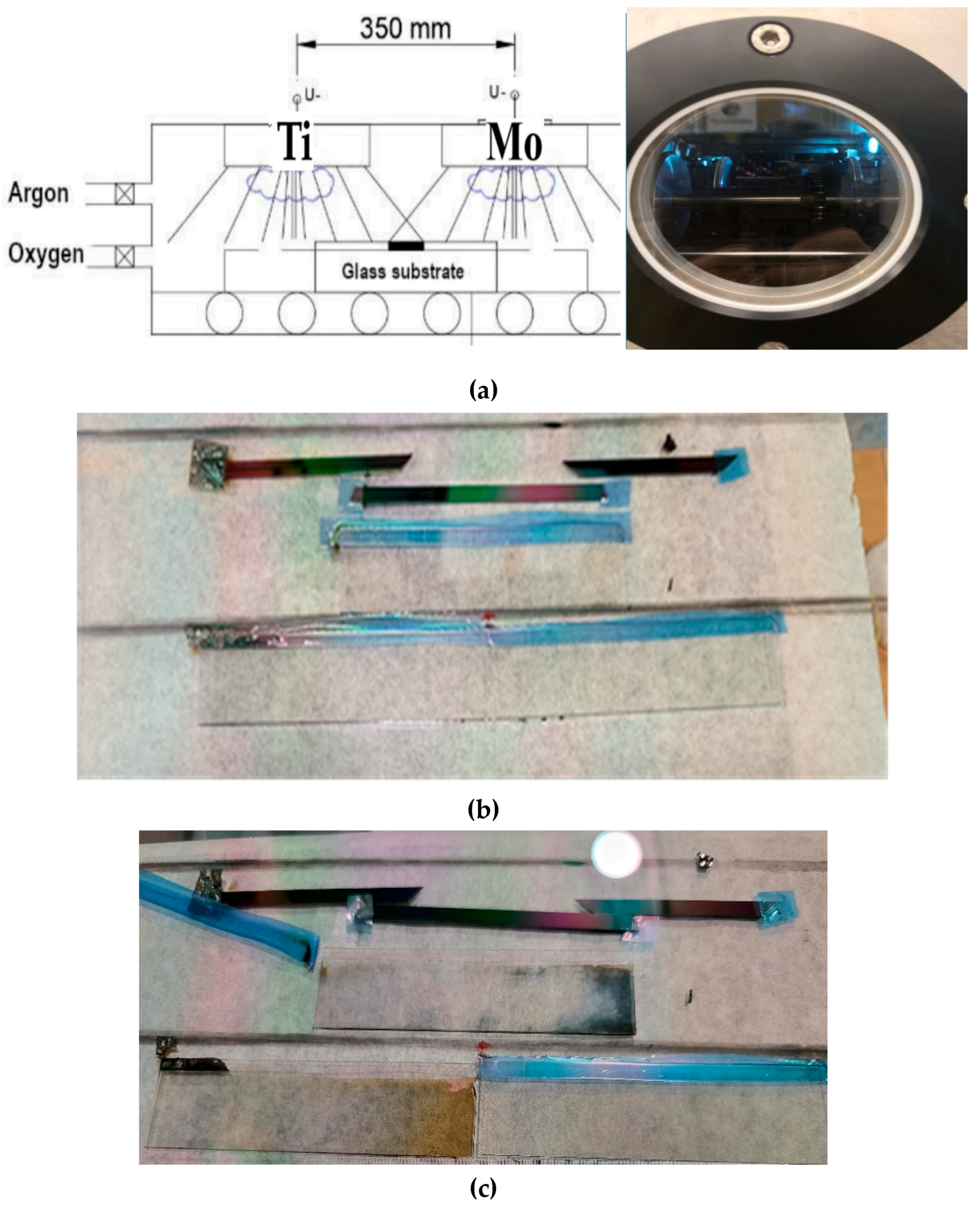 Preprints 111152 g006