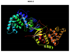 Preprints 73957 i011