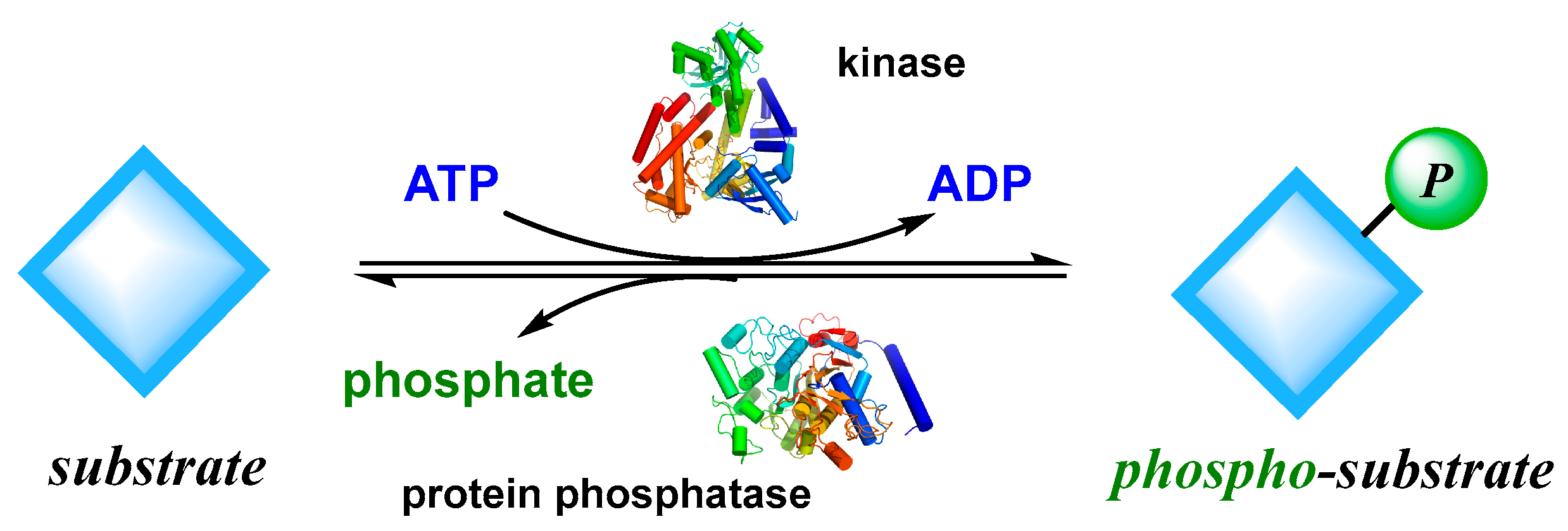 Preprints 80819 g009