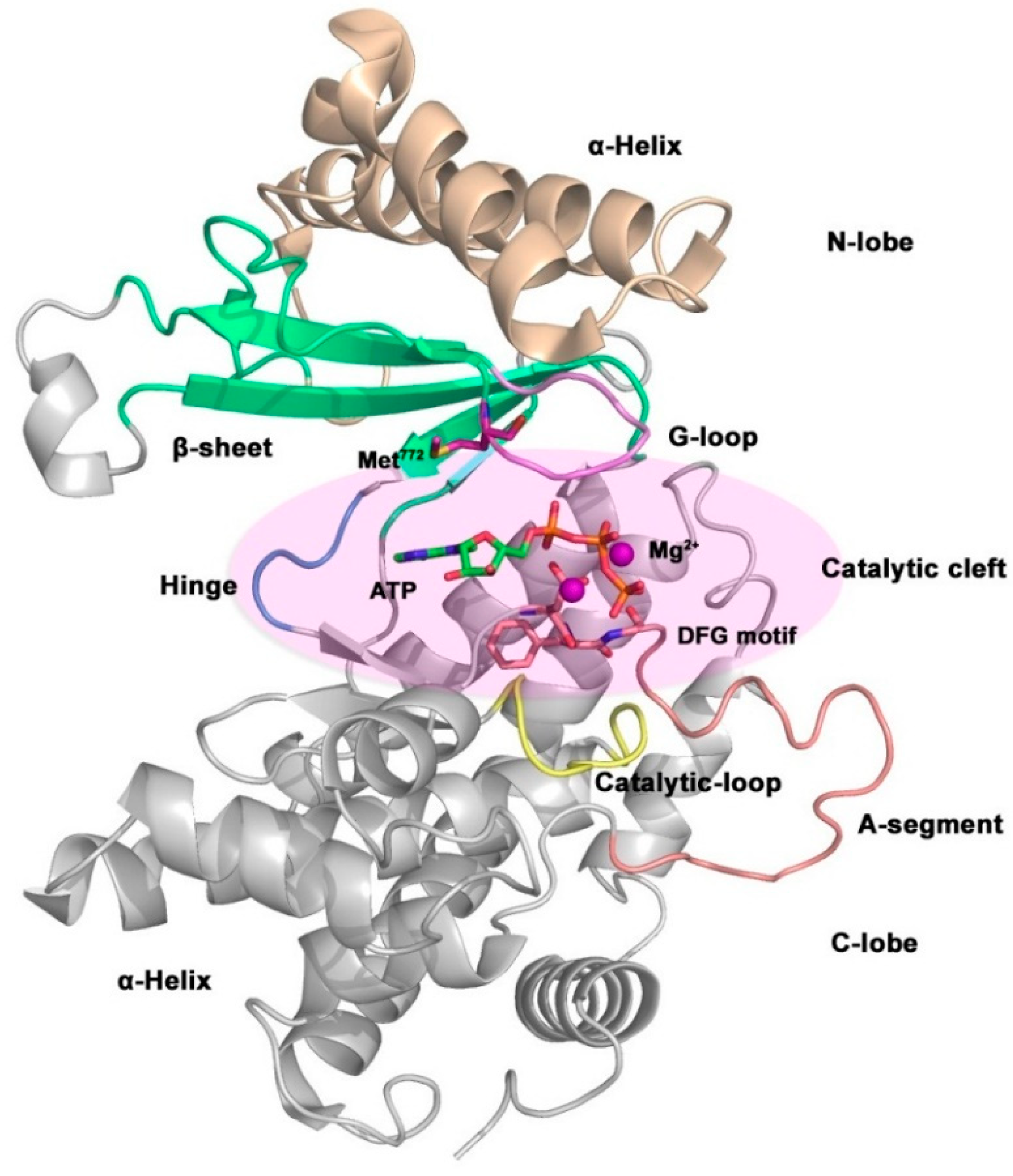 Preprints 80819 g010