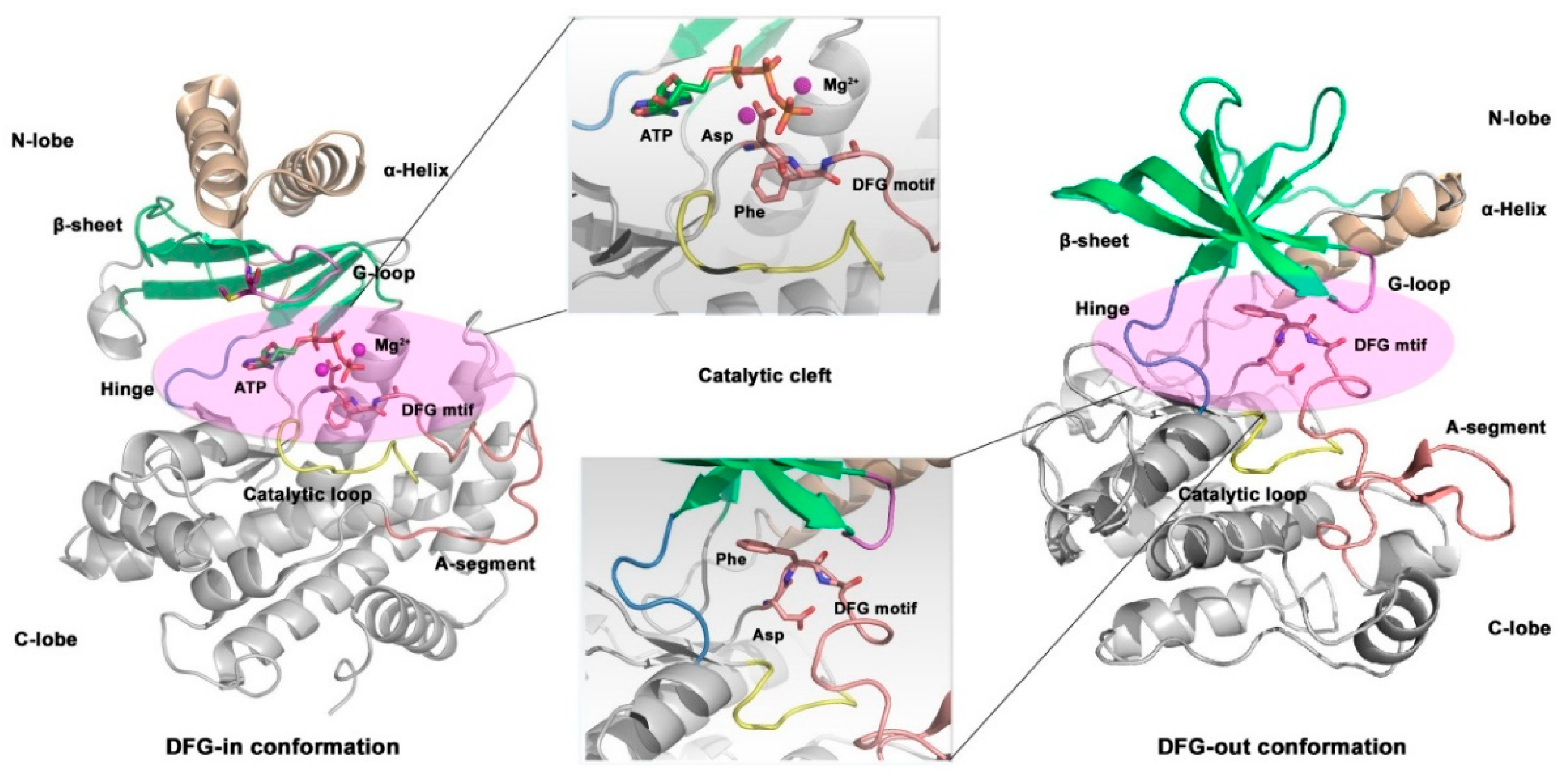 Preprints 80819 g011