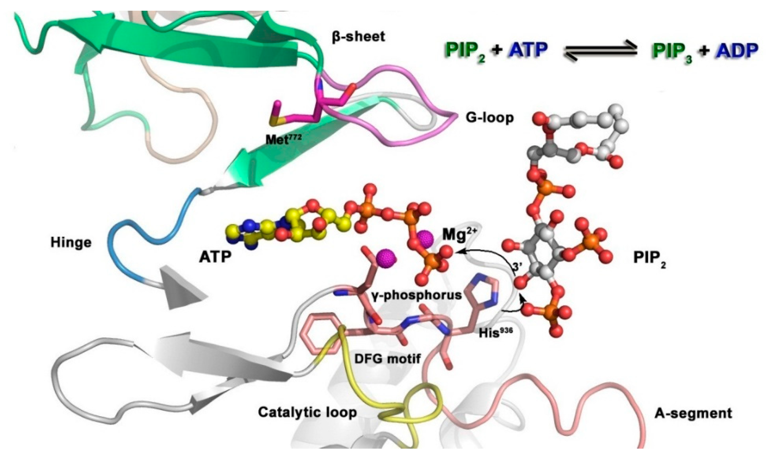 Preprints 80819 g012