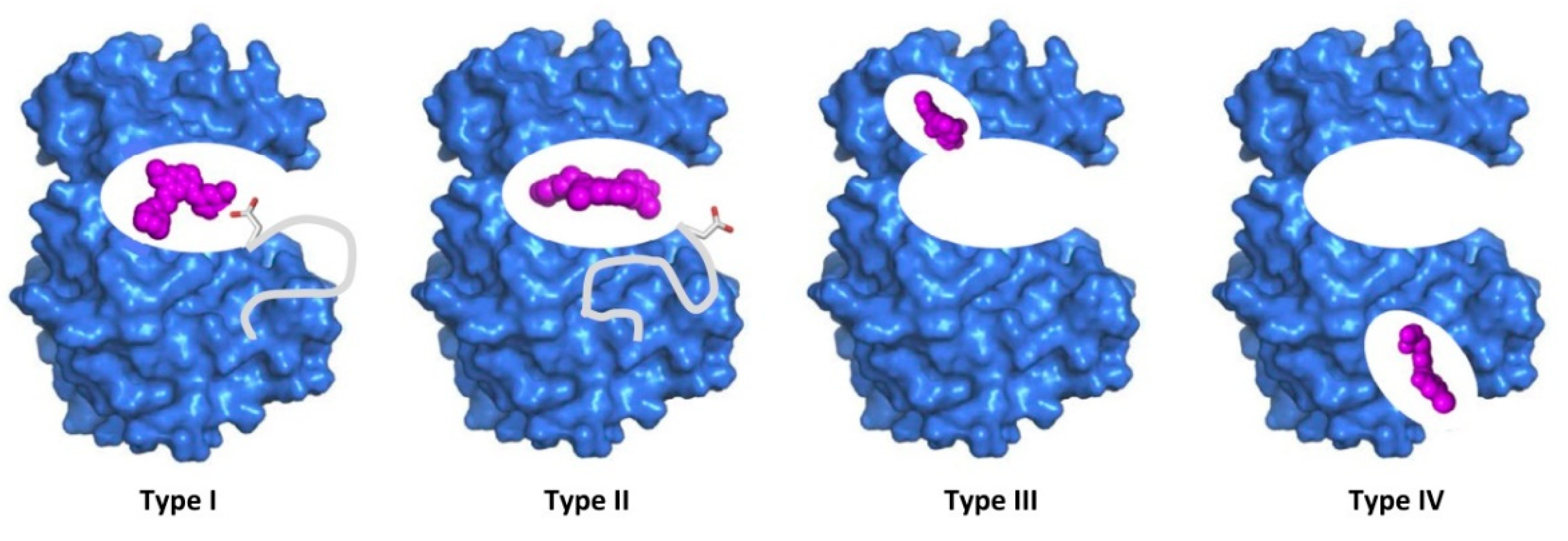 Preprints 80819 g013