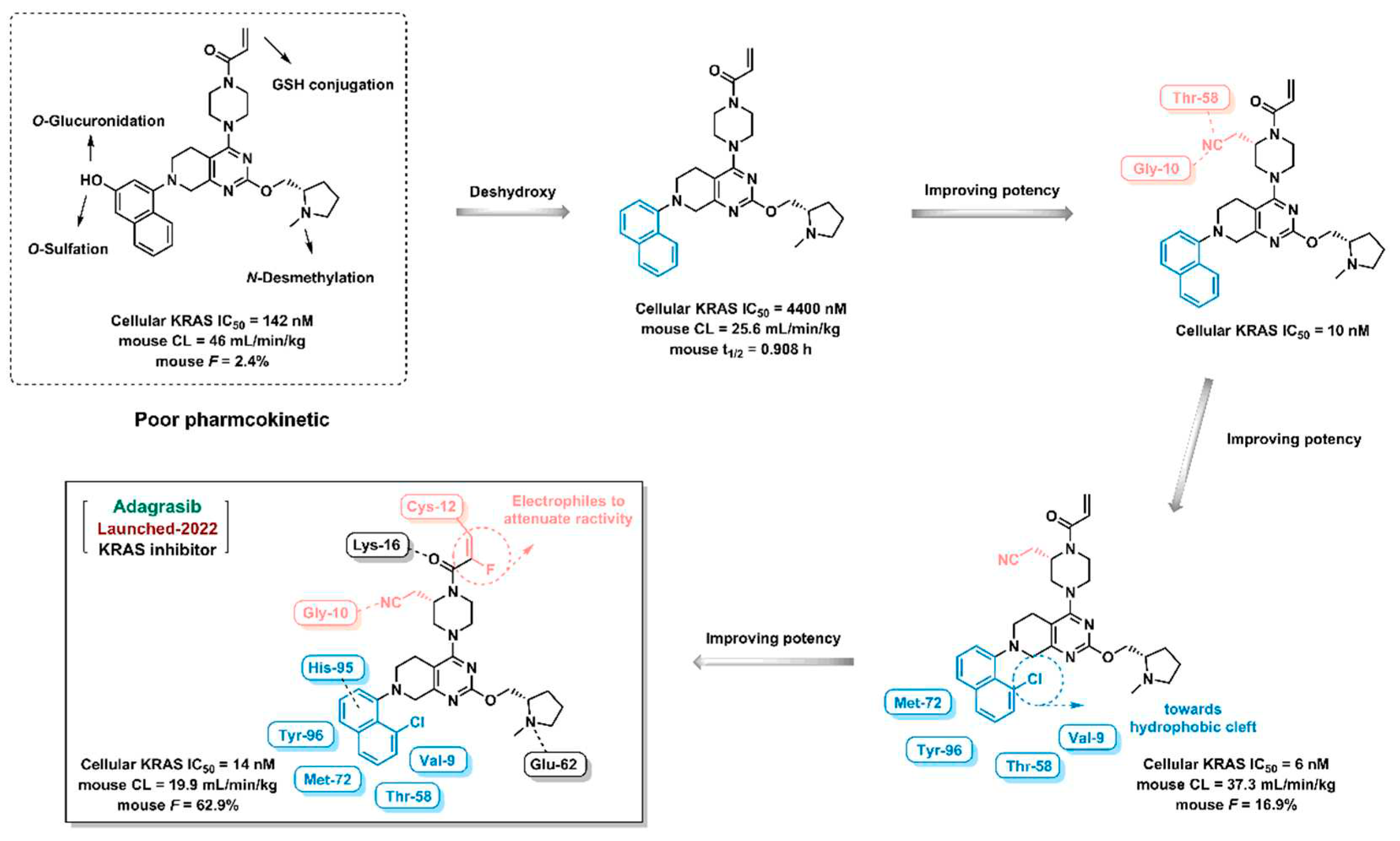 Preprints 80819 g017