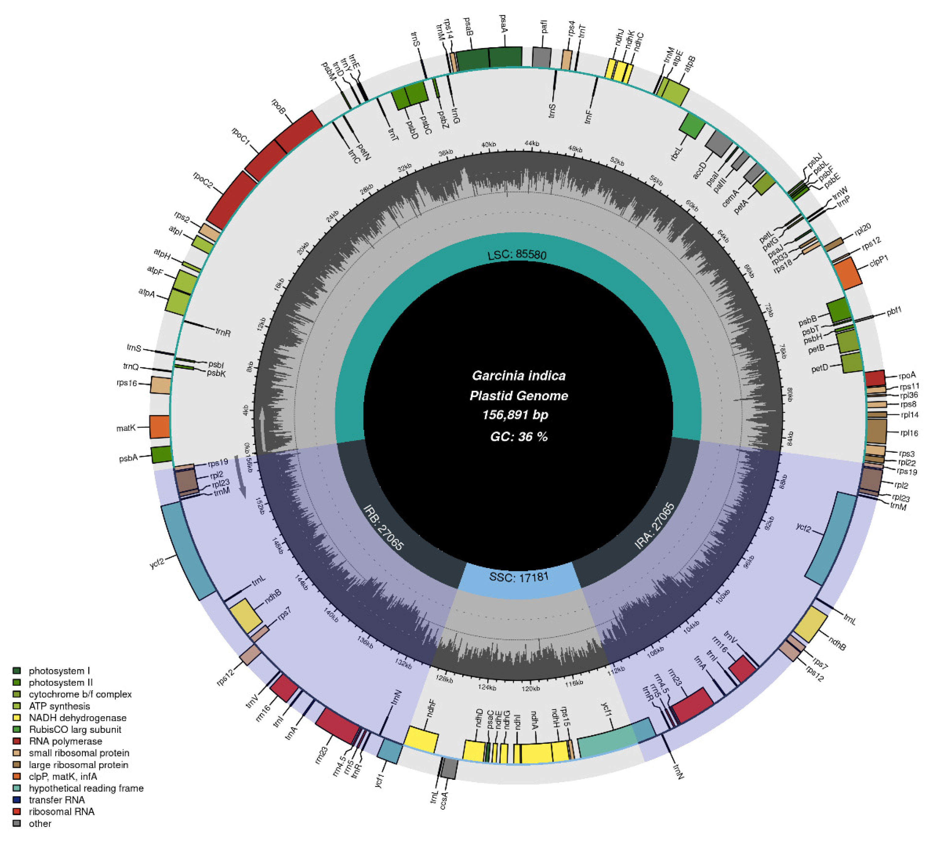 Preprints 114543 g001