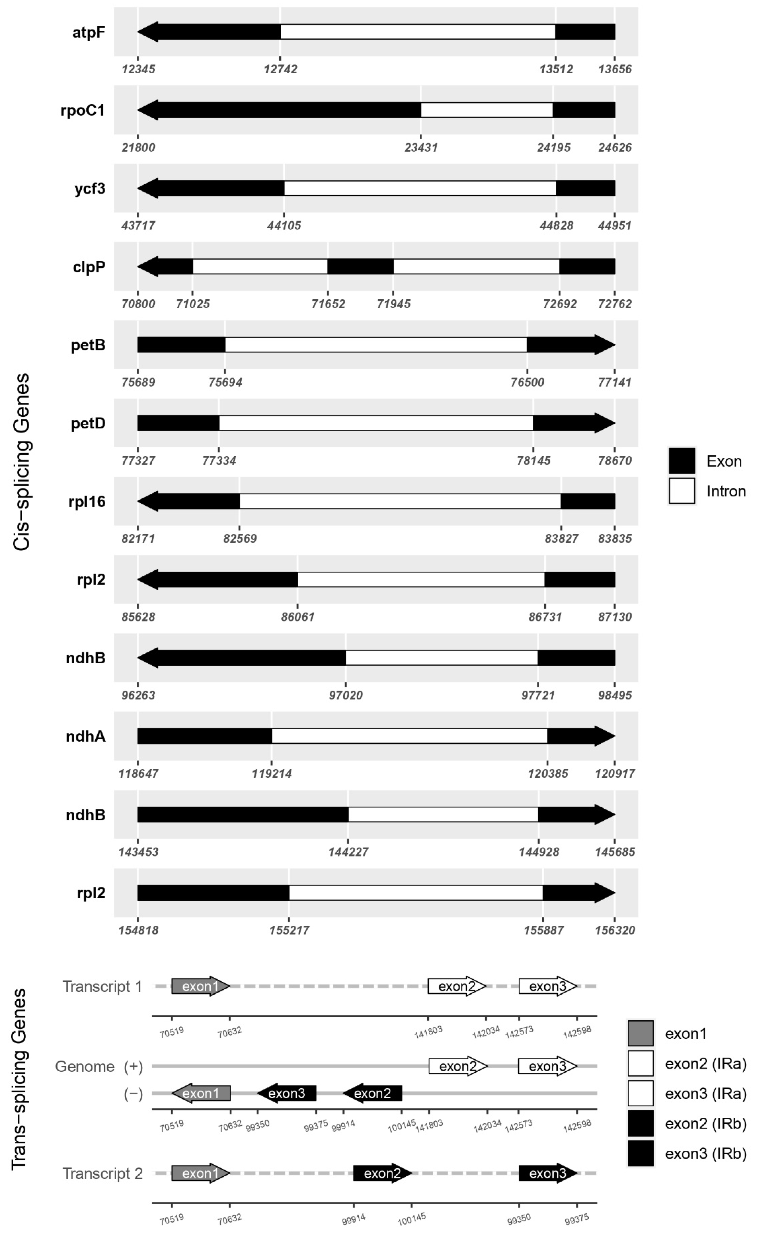 Preprints 114543 g002