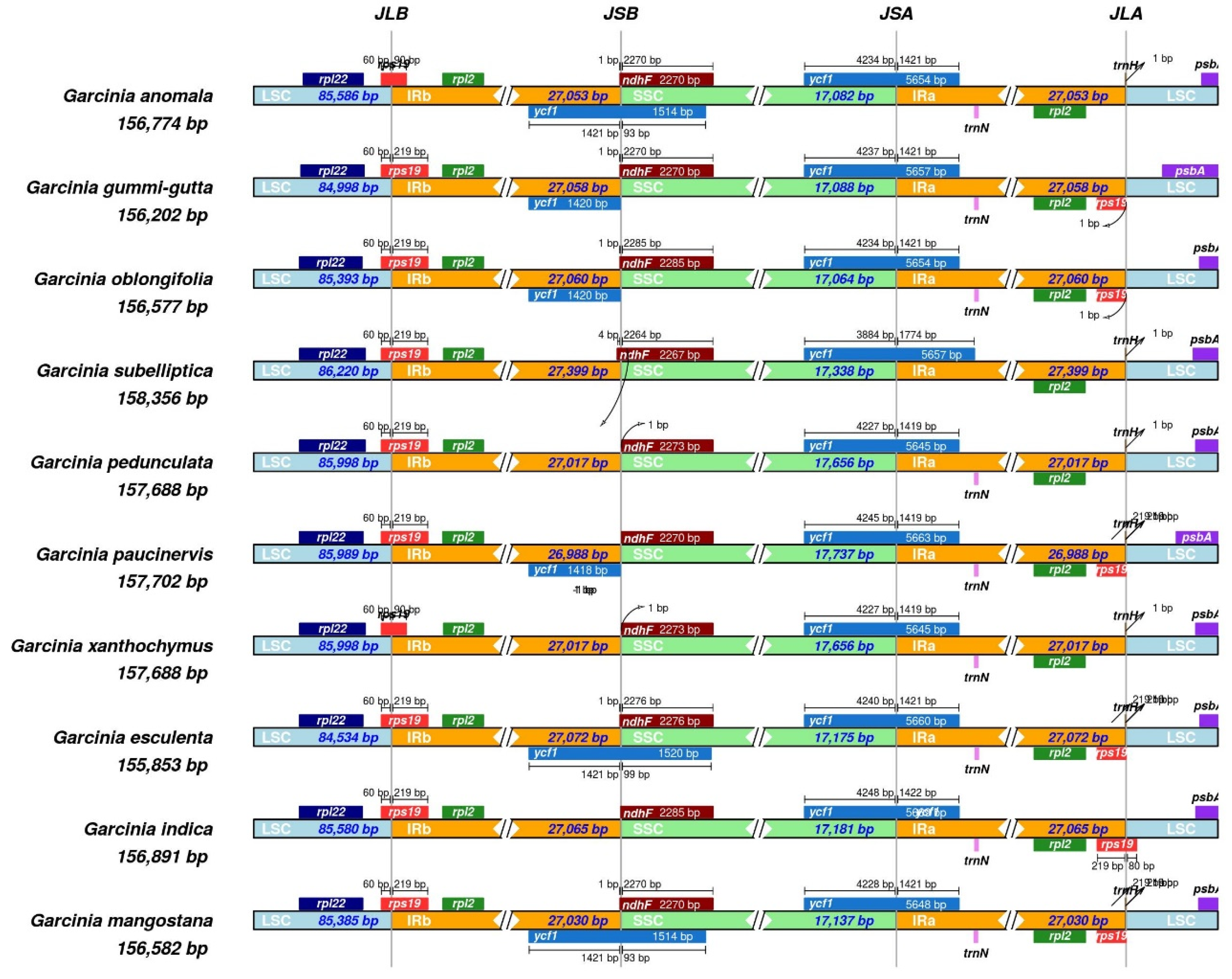 Preprints 114543 g003