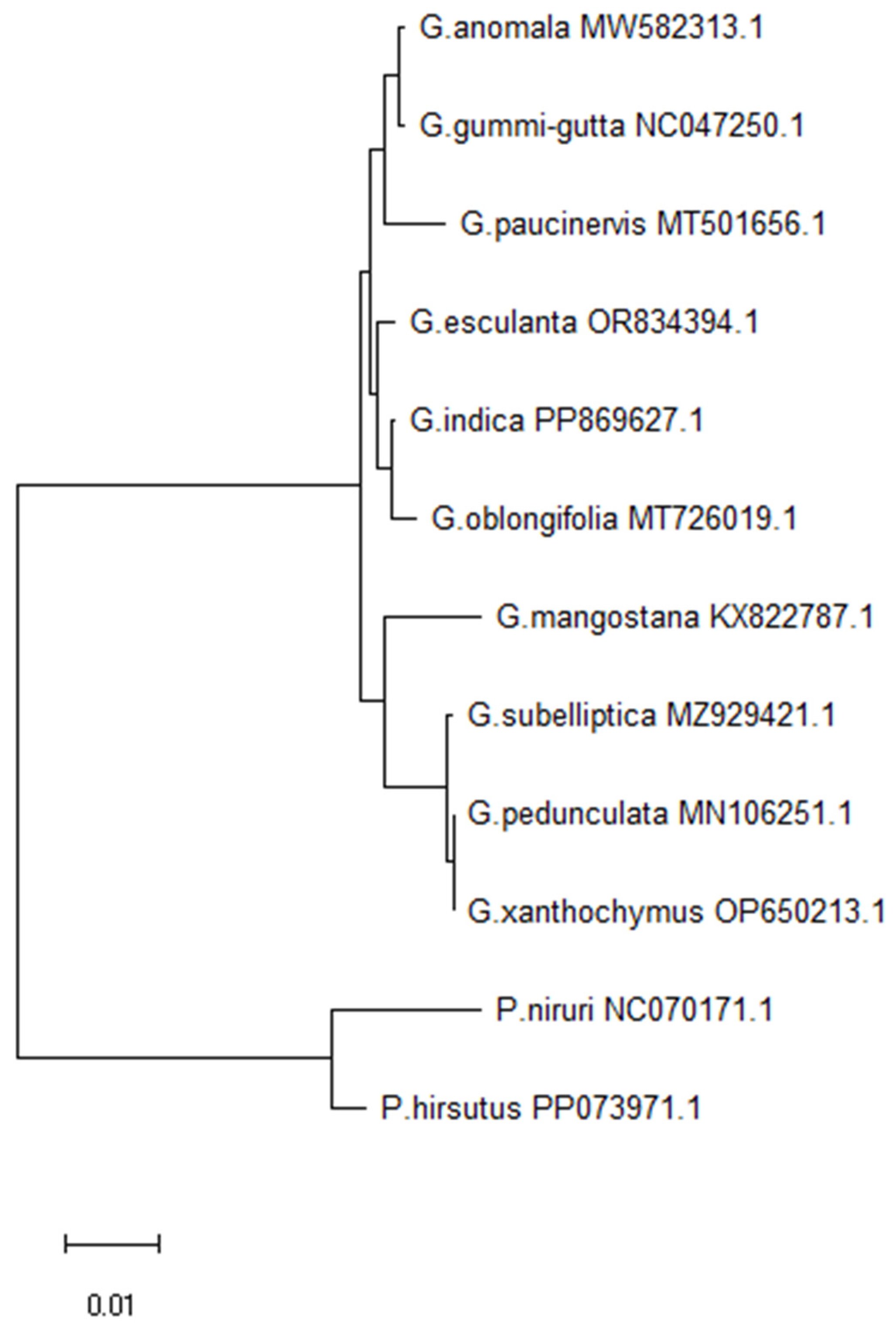 Preprints 114543 g005