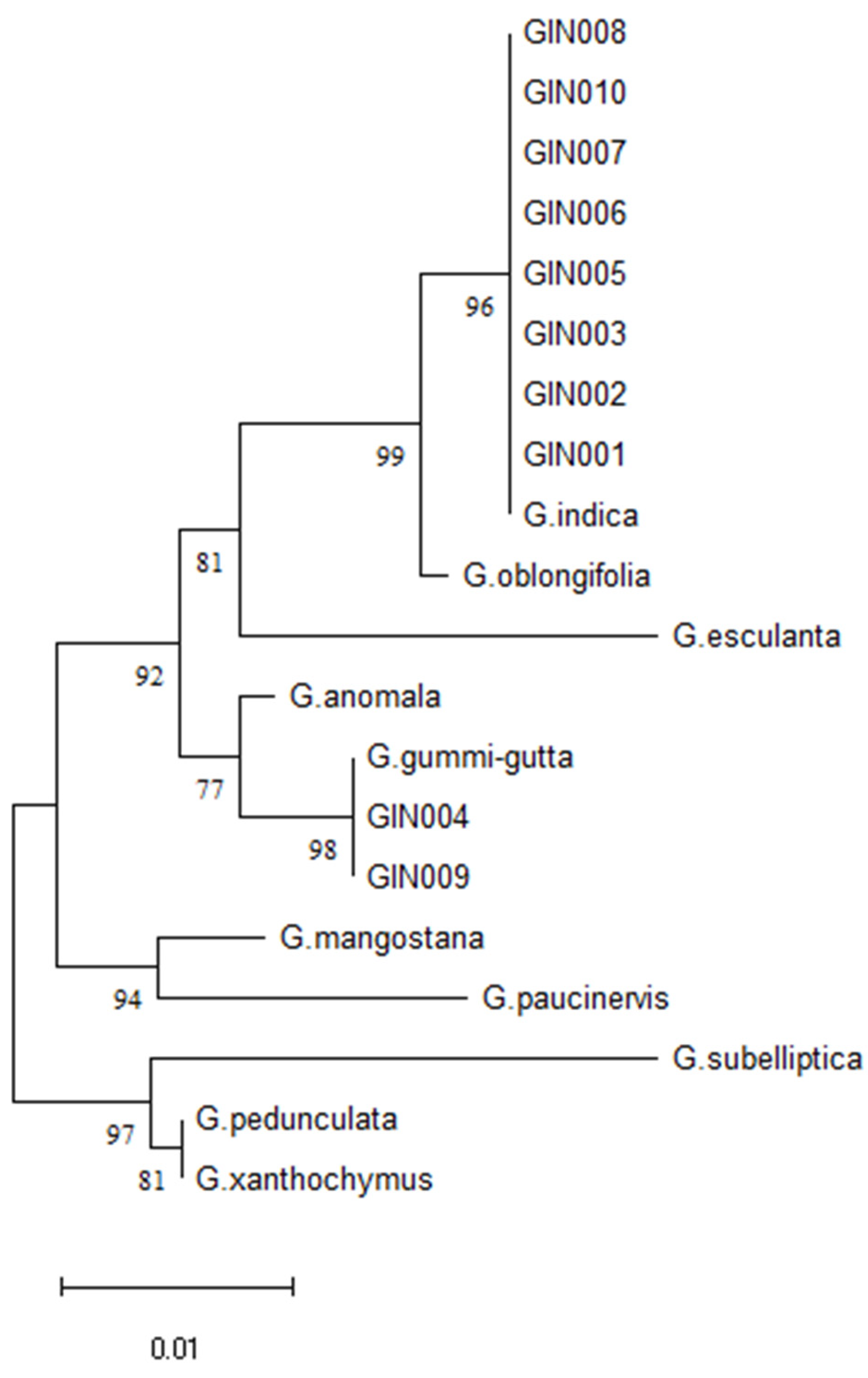 Preprints 114543 g006