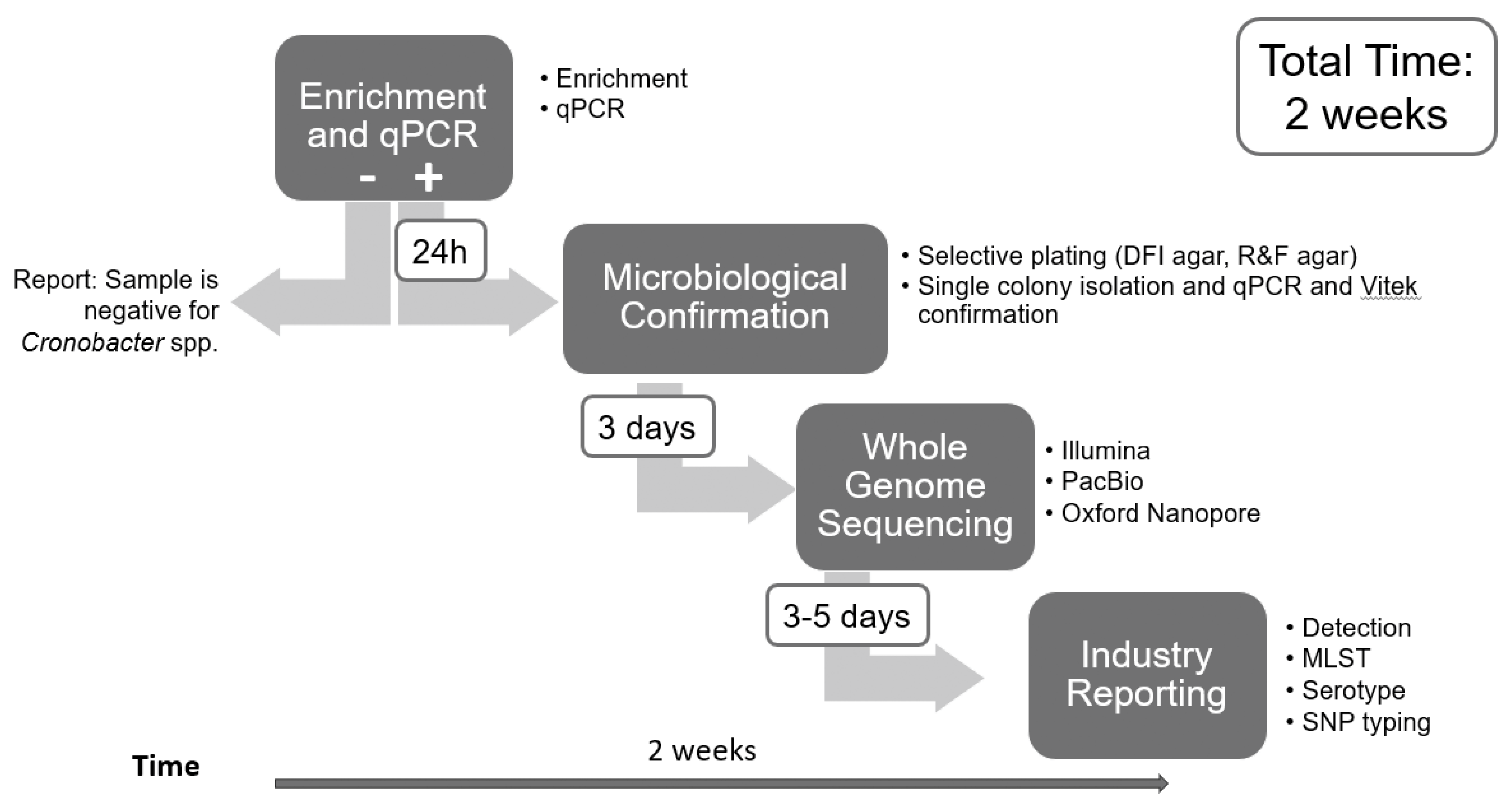 Preprints 111946 g001