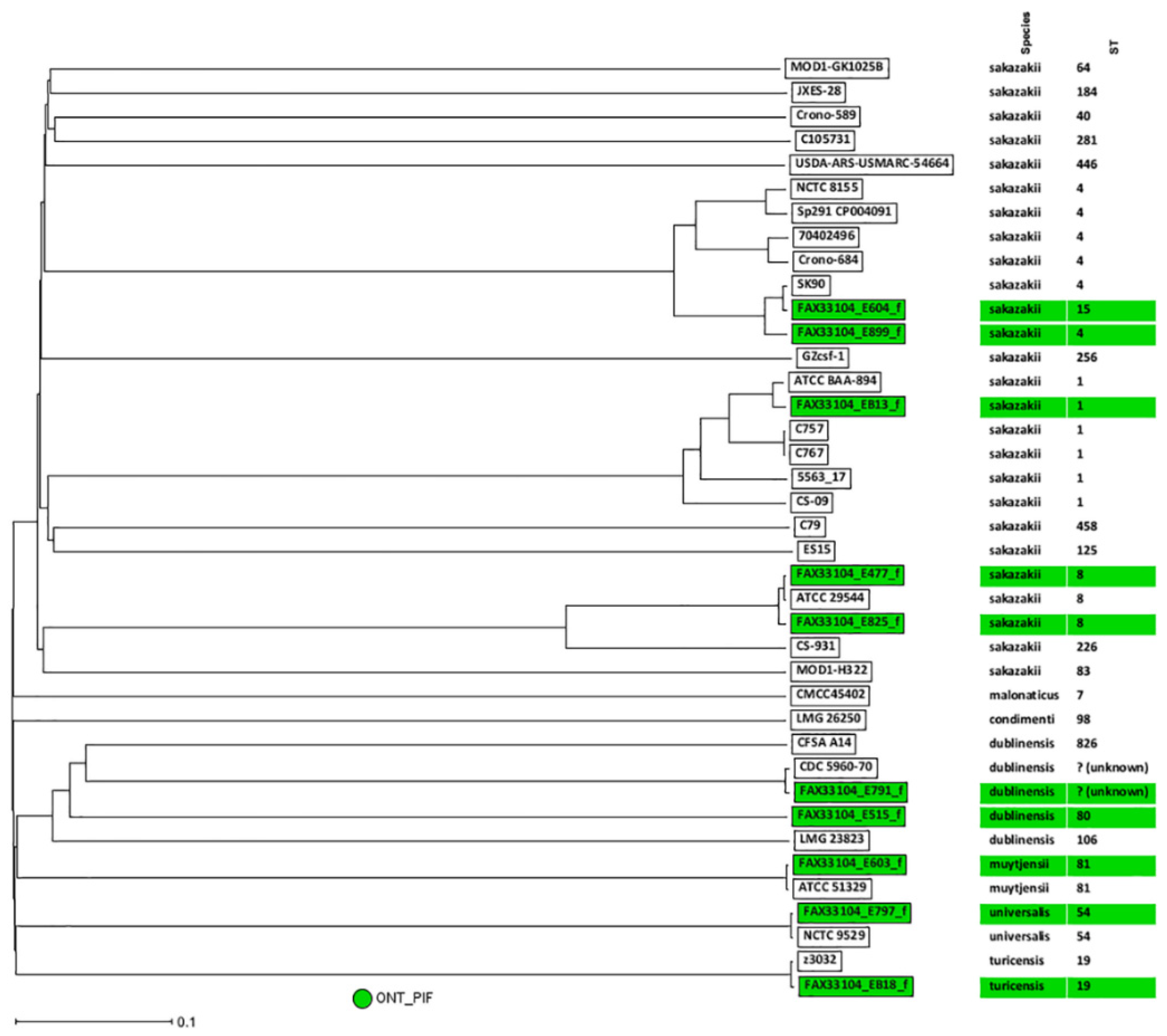 Preprints 111946 g002