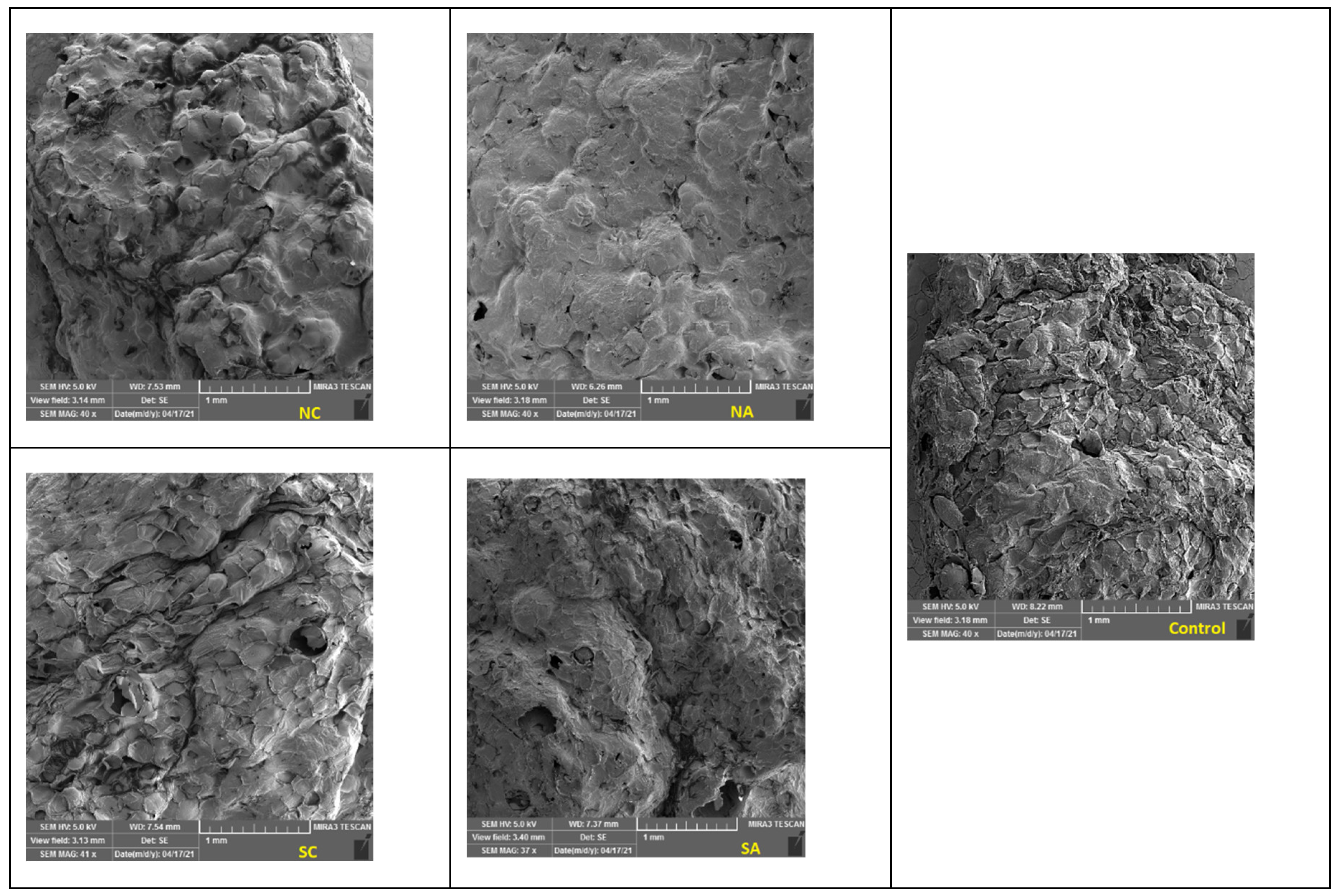 Preprints 90945 g005a