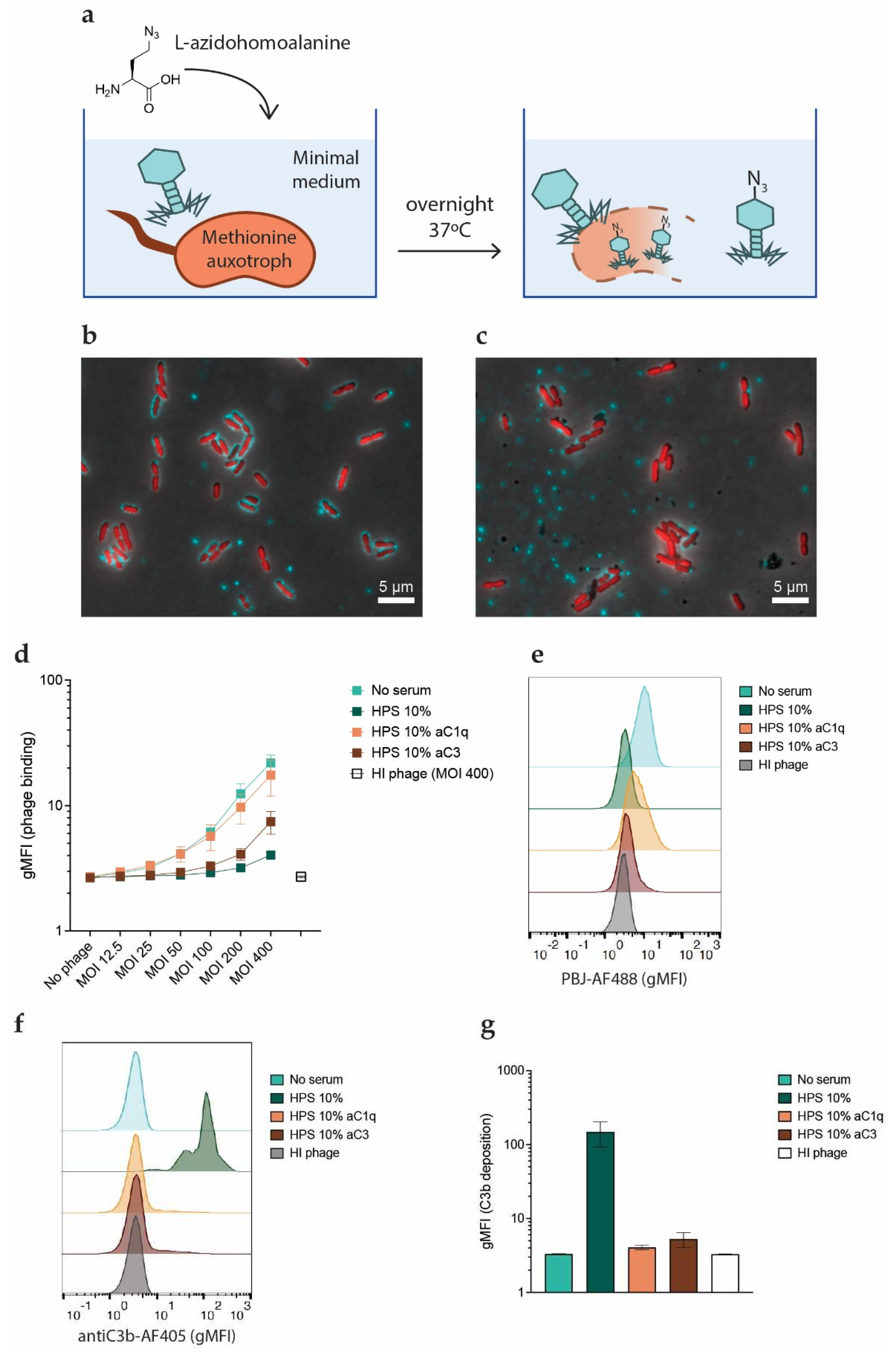 Preprints 86544 g004