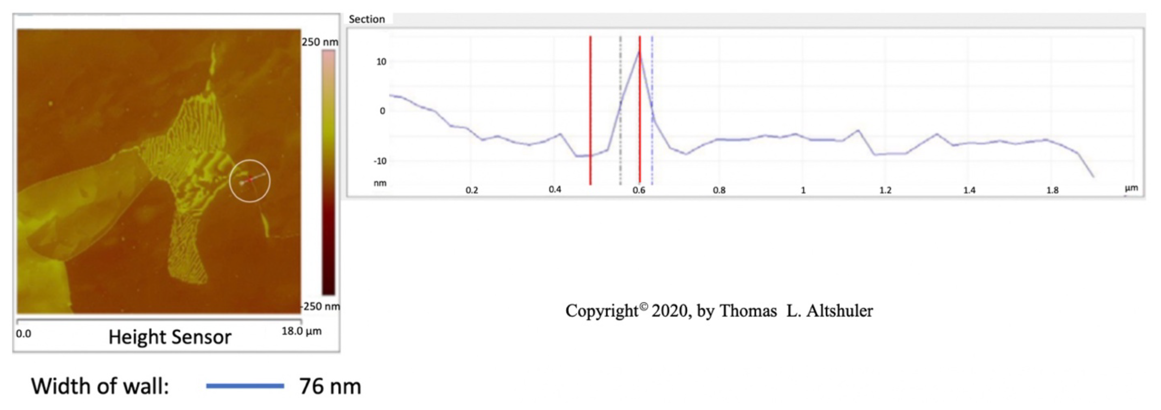 Preprints 110609 g002