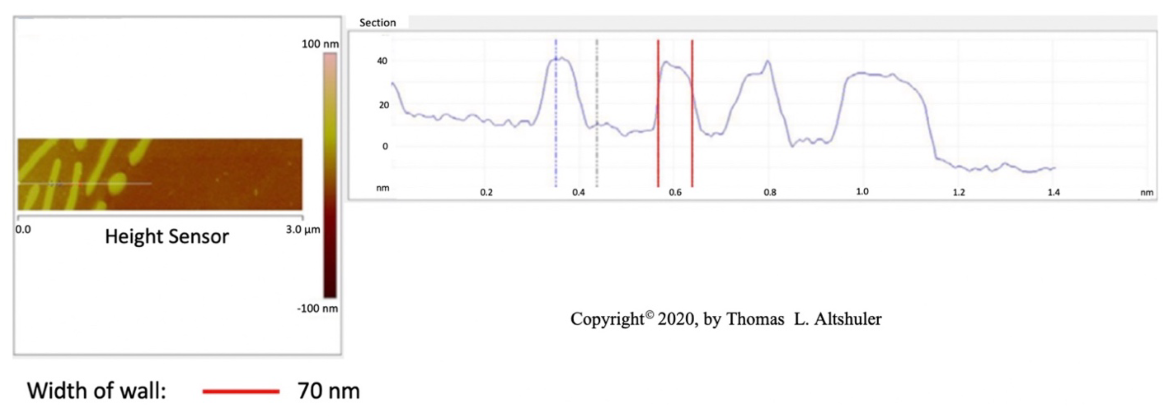 Preprints 110609 g003