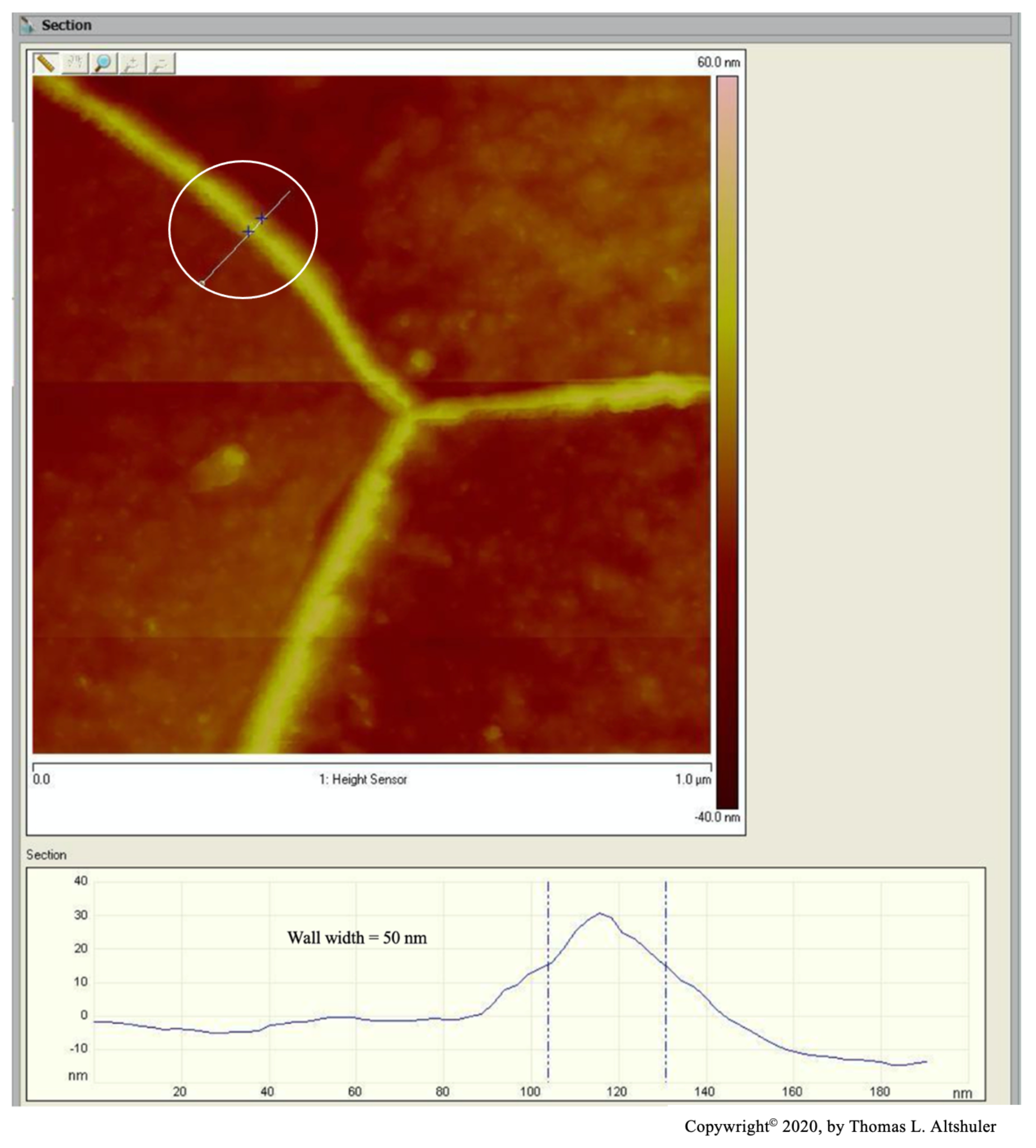 Preprints 110609 g005