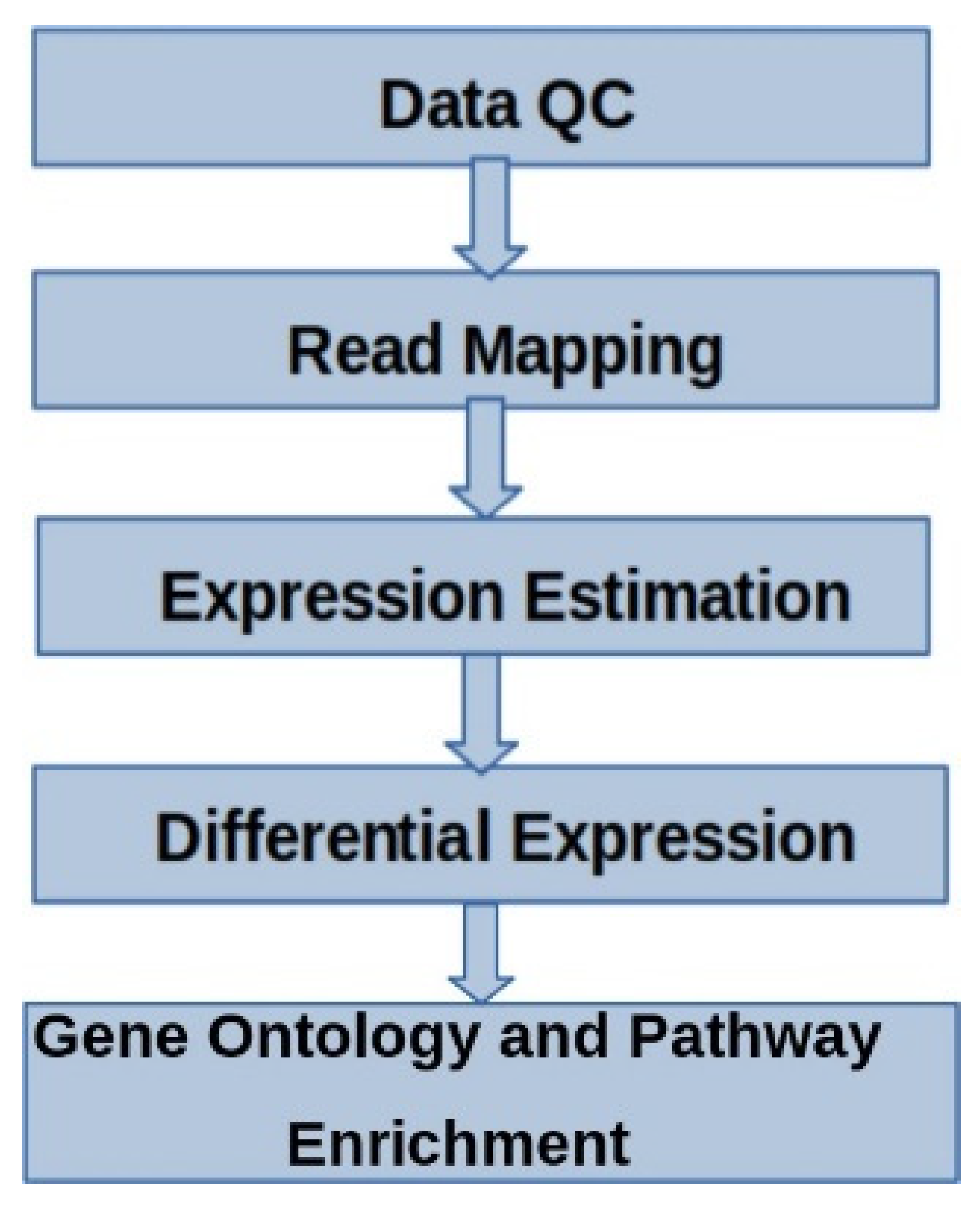 Preprints 118143 g001