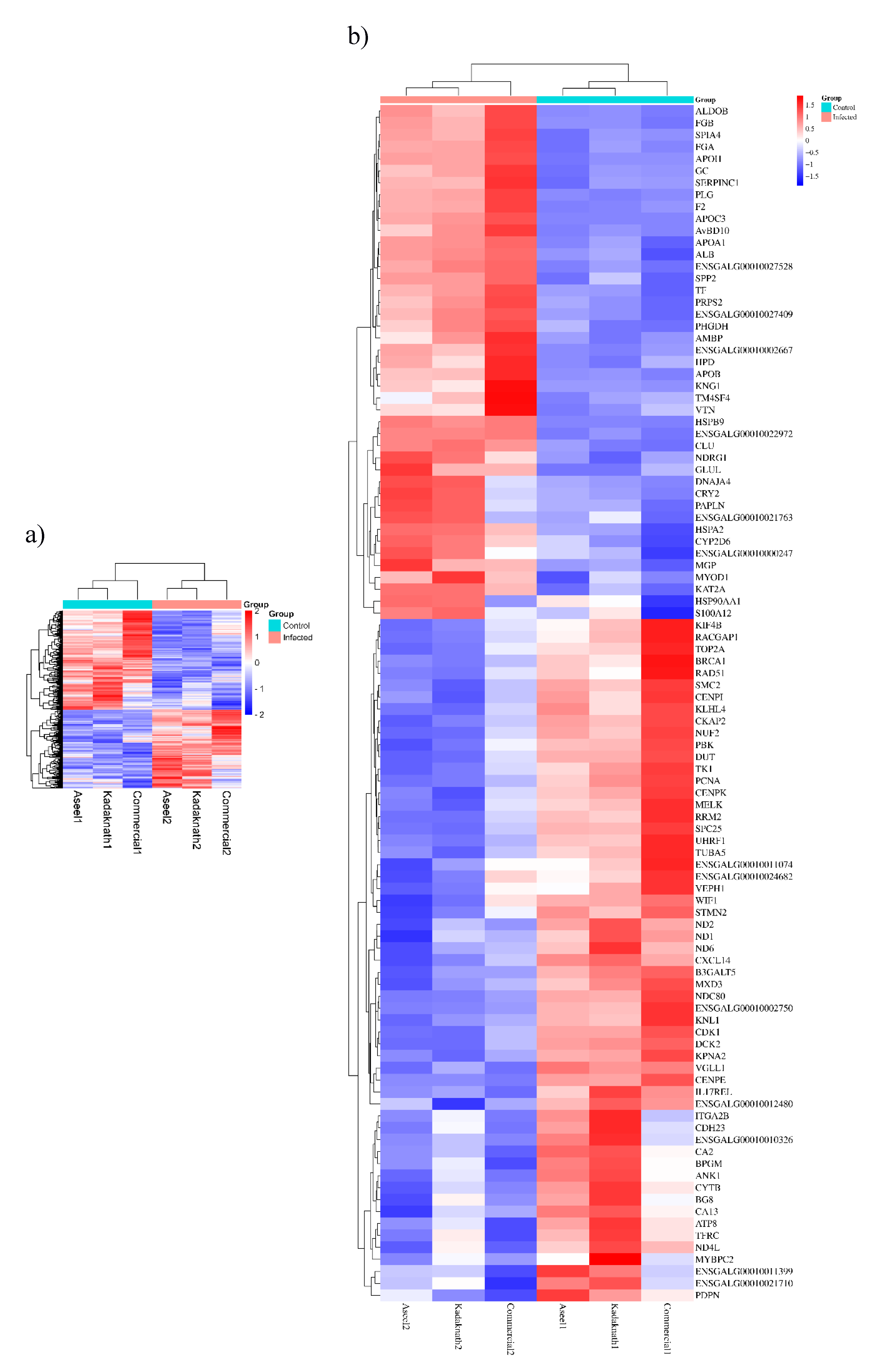 Preprints 118143 g006