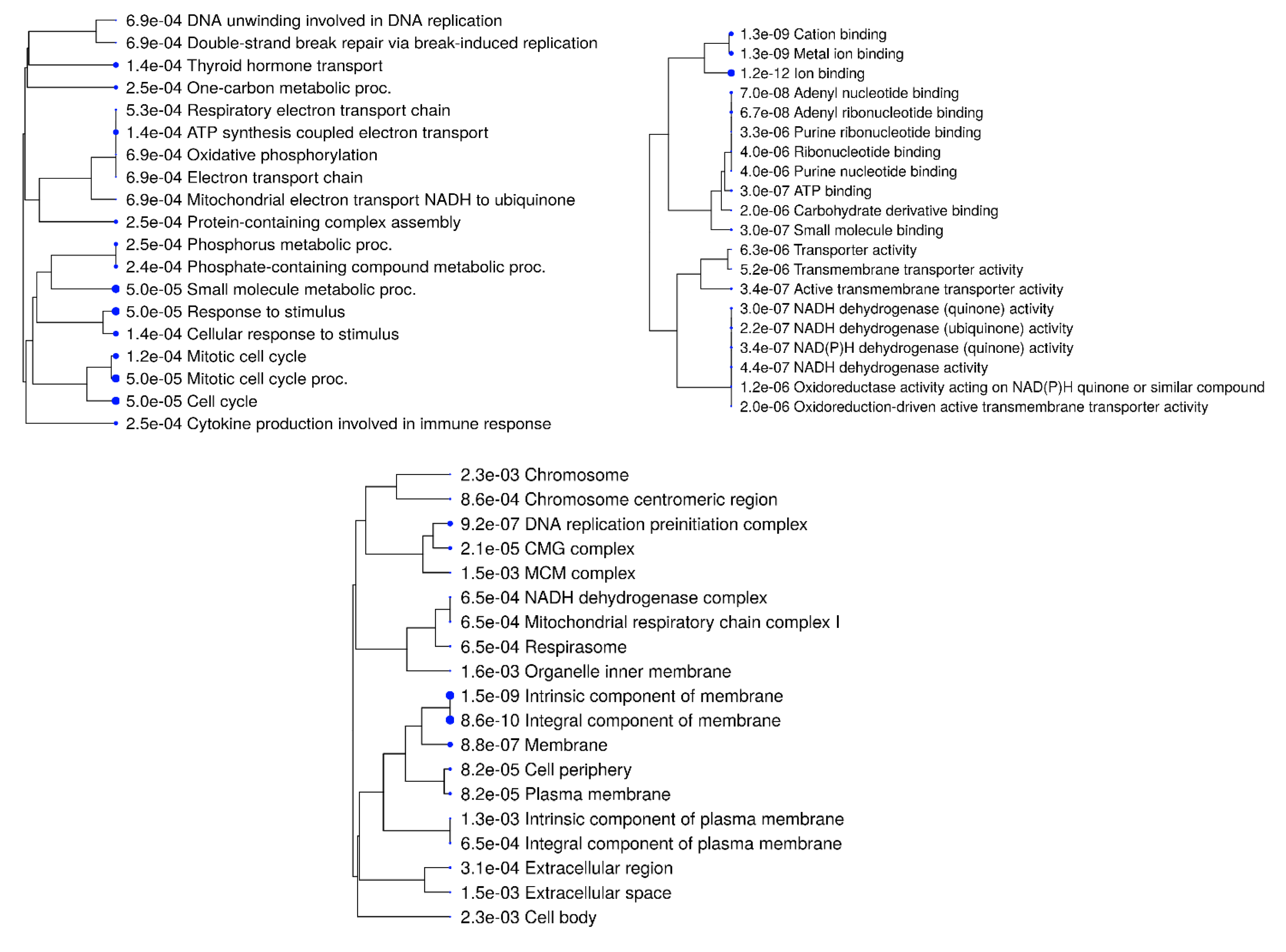 Preprints 118143 g011