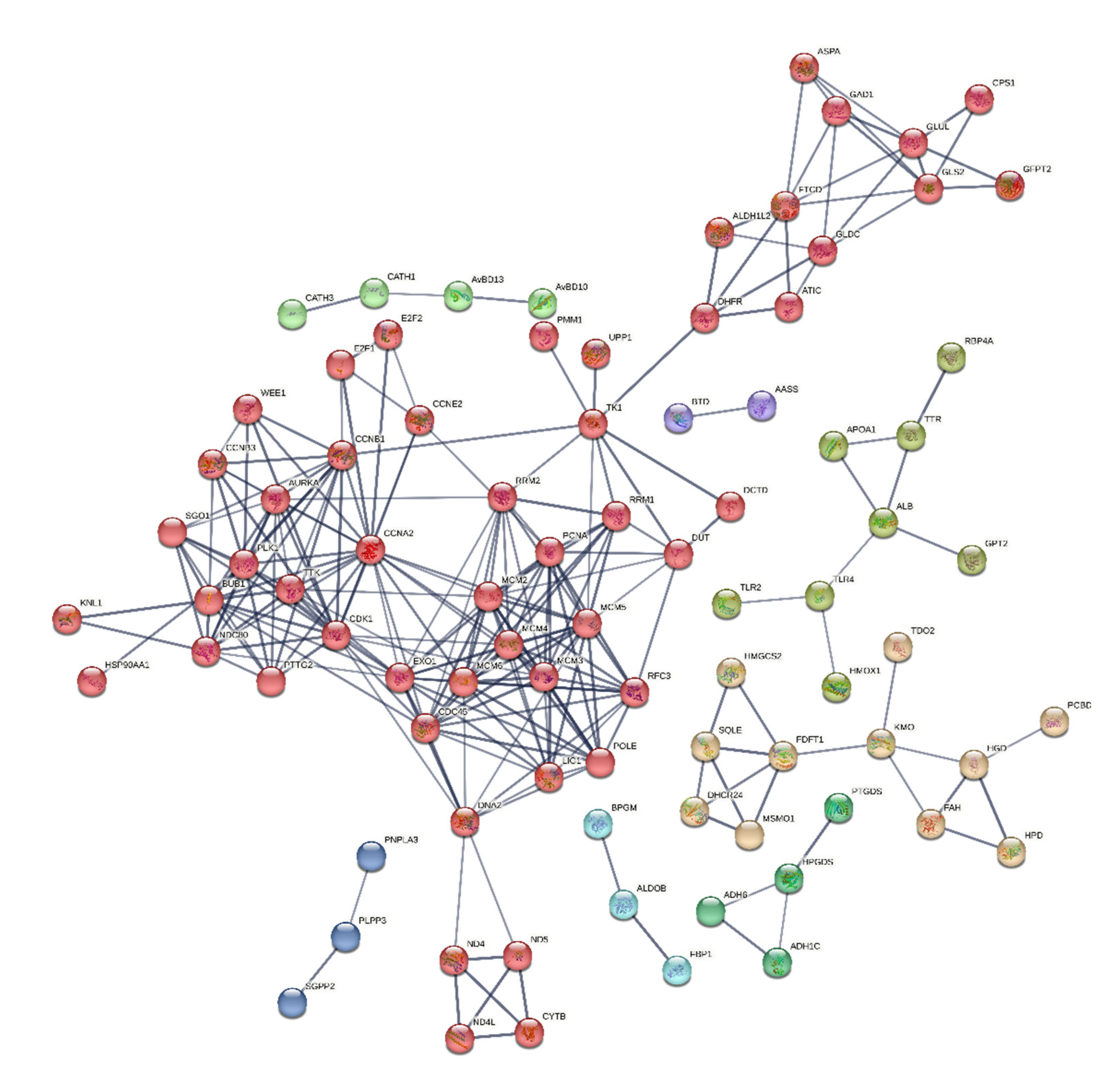 Preprints 118143 g013