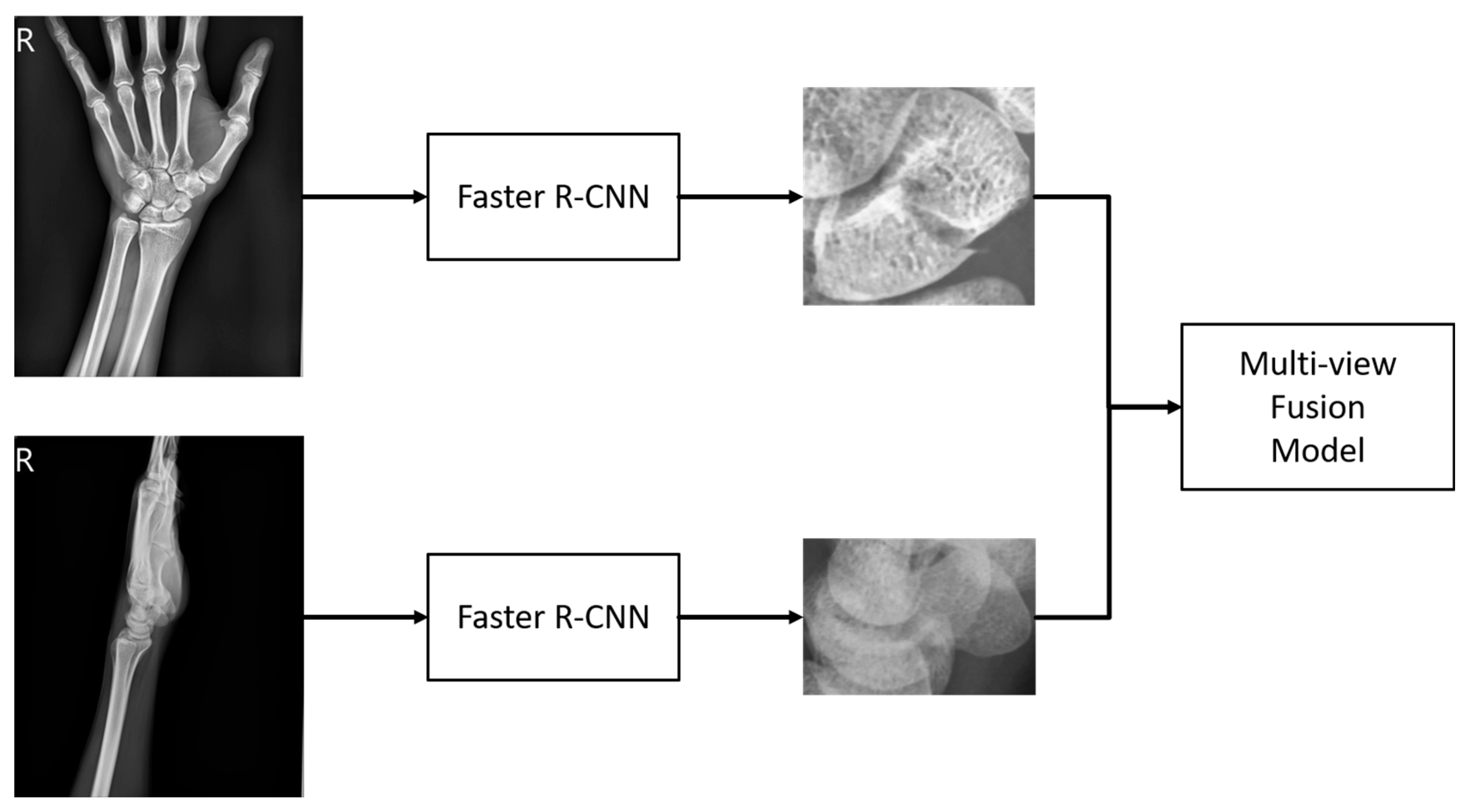 Preprints 118654 g003