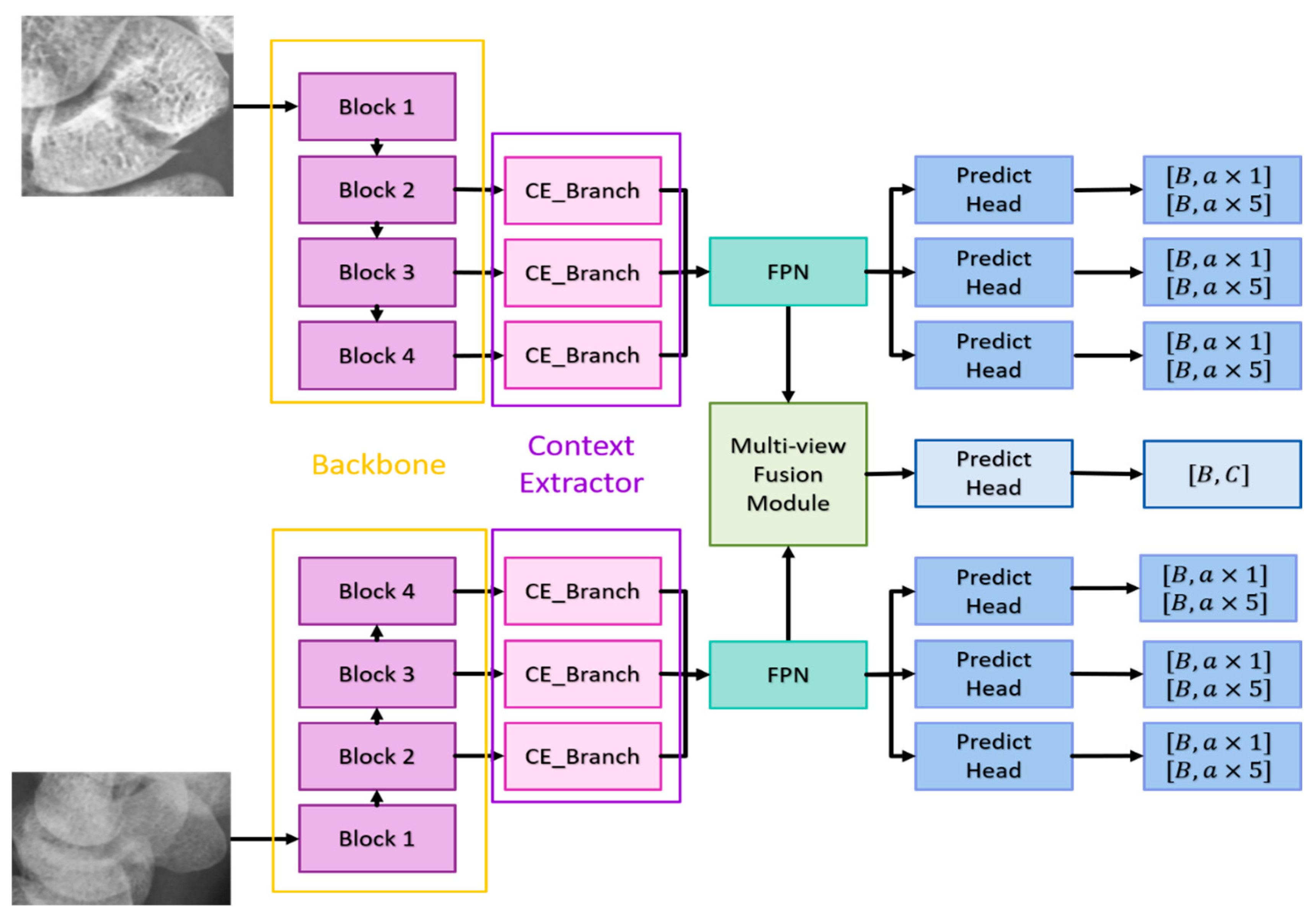 Preprints 118654 g004