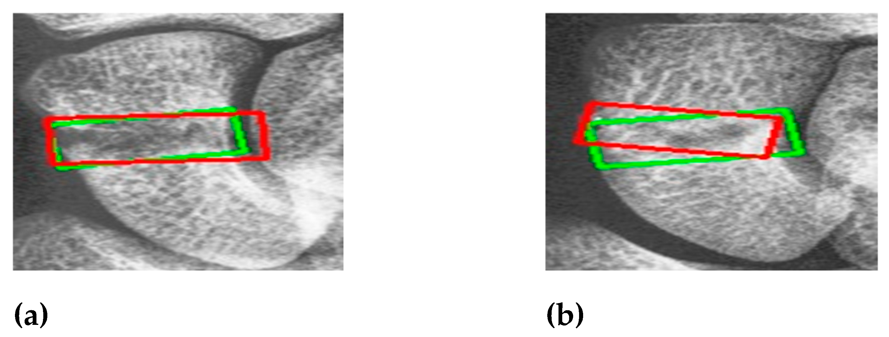 Preprints 118654 g011