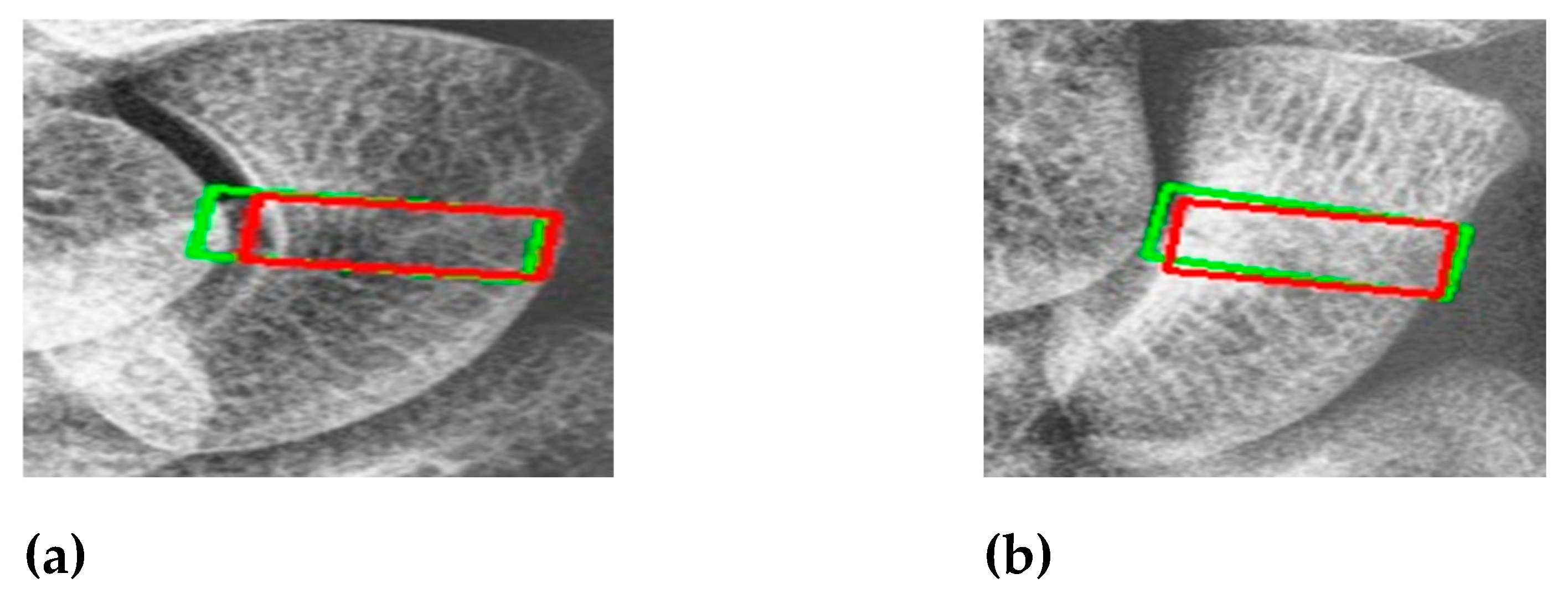 Preprints 118654 g012