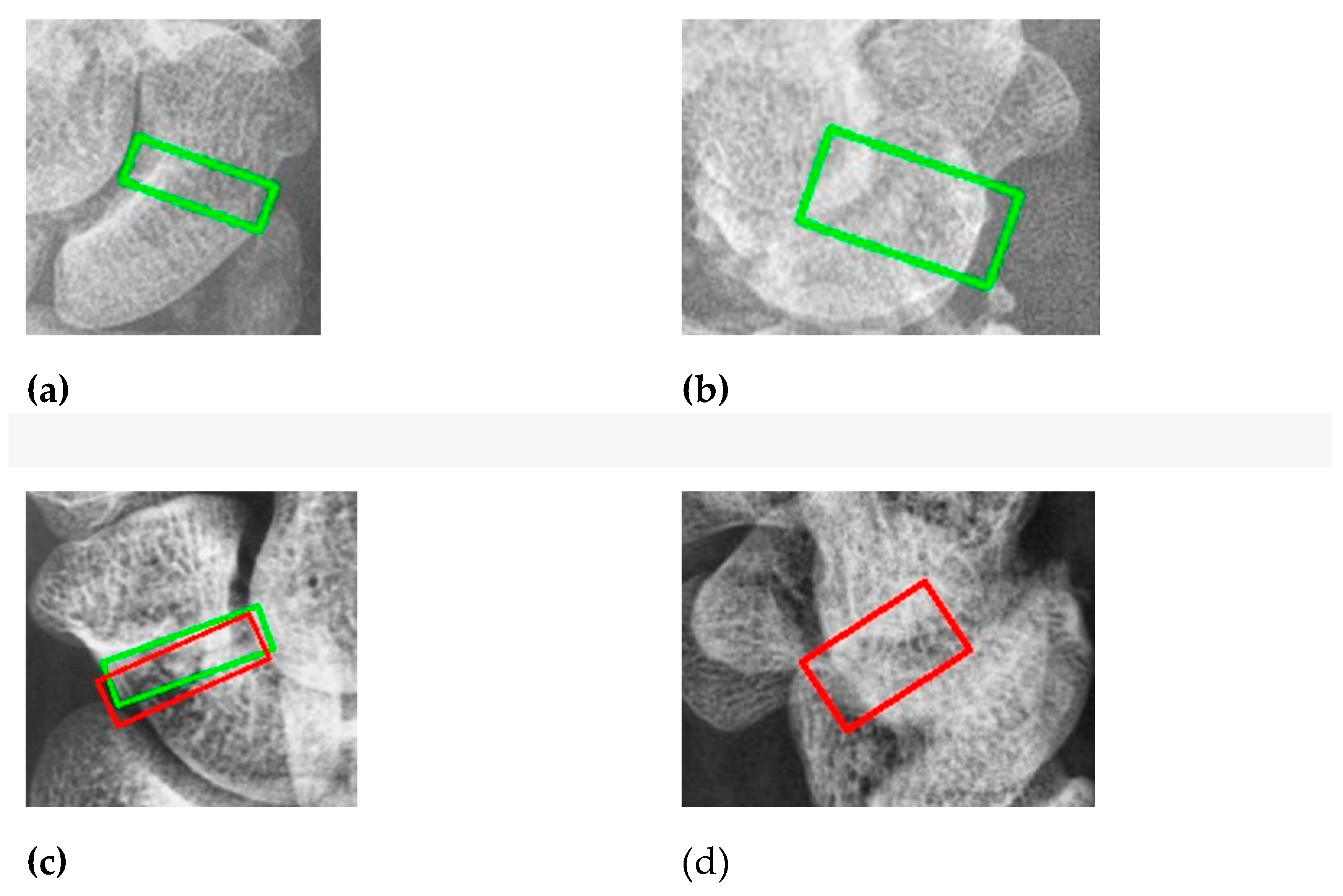 Preprints 118654 g014