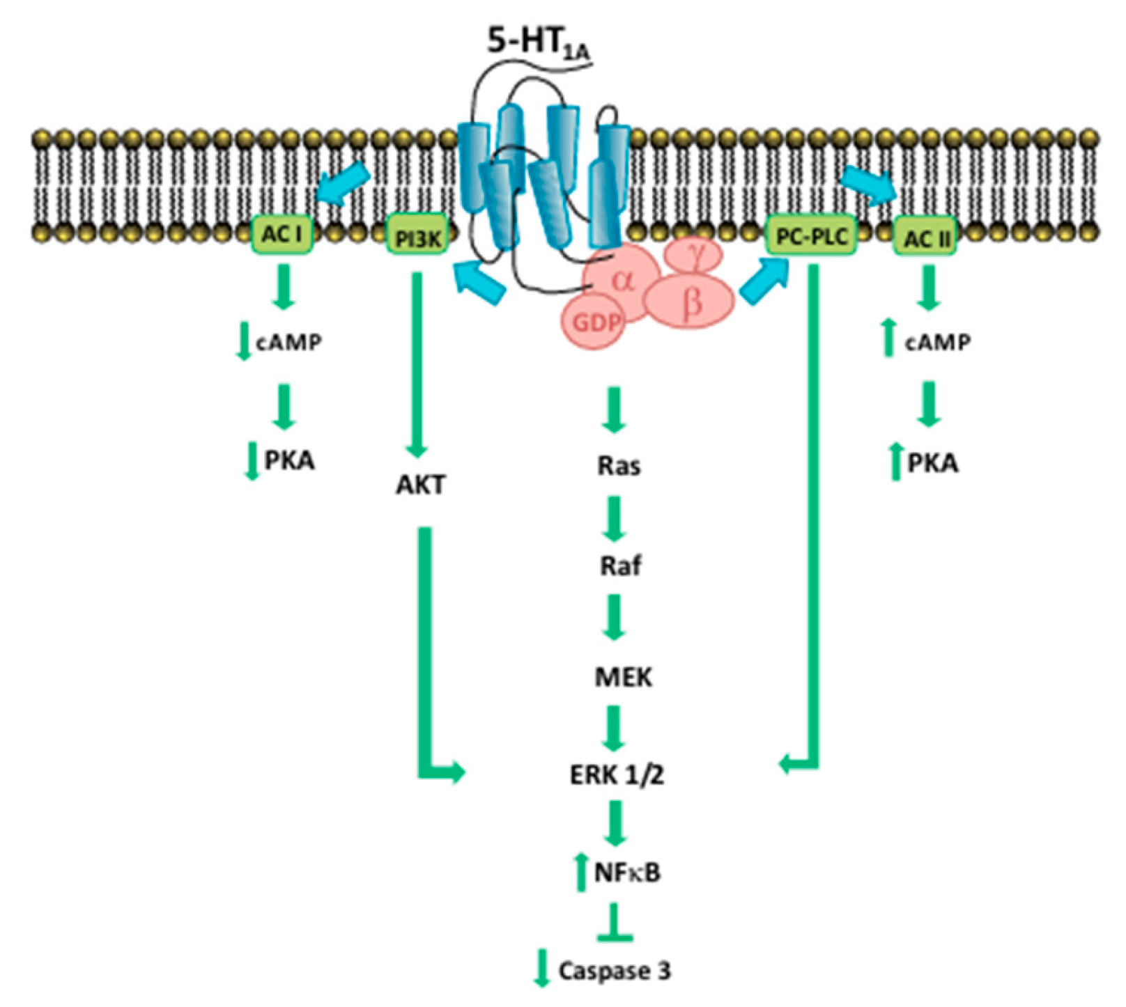 Preprints 112596 g002