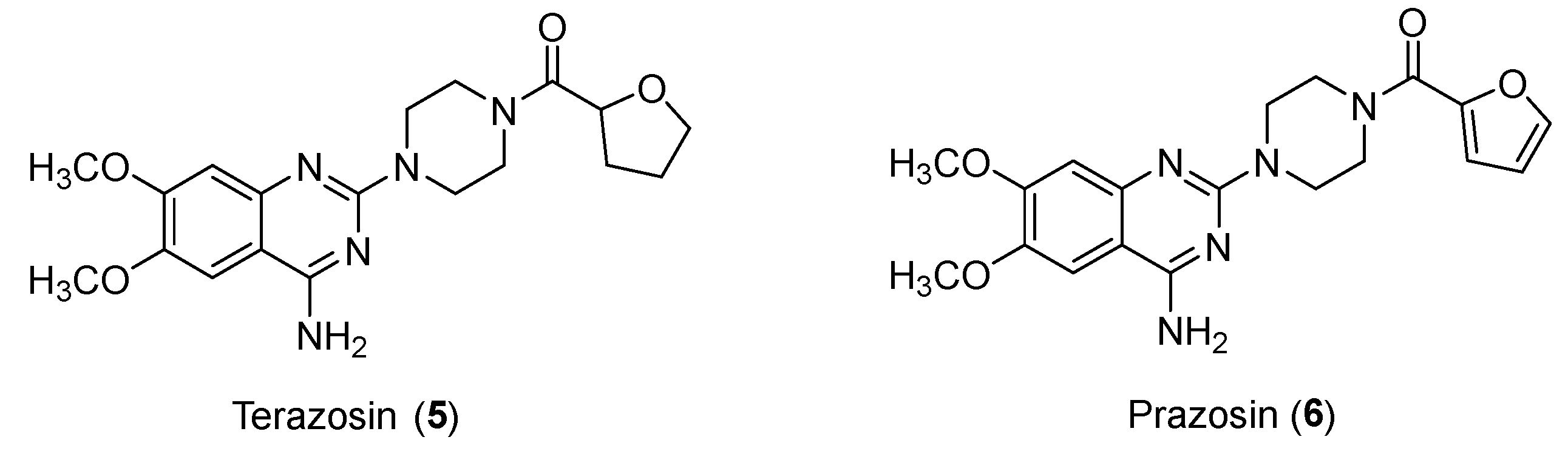 Preprints 112596 g007