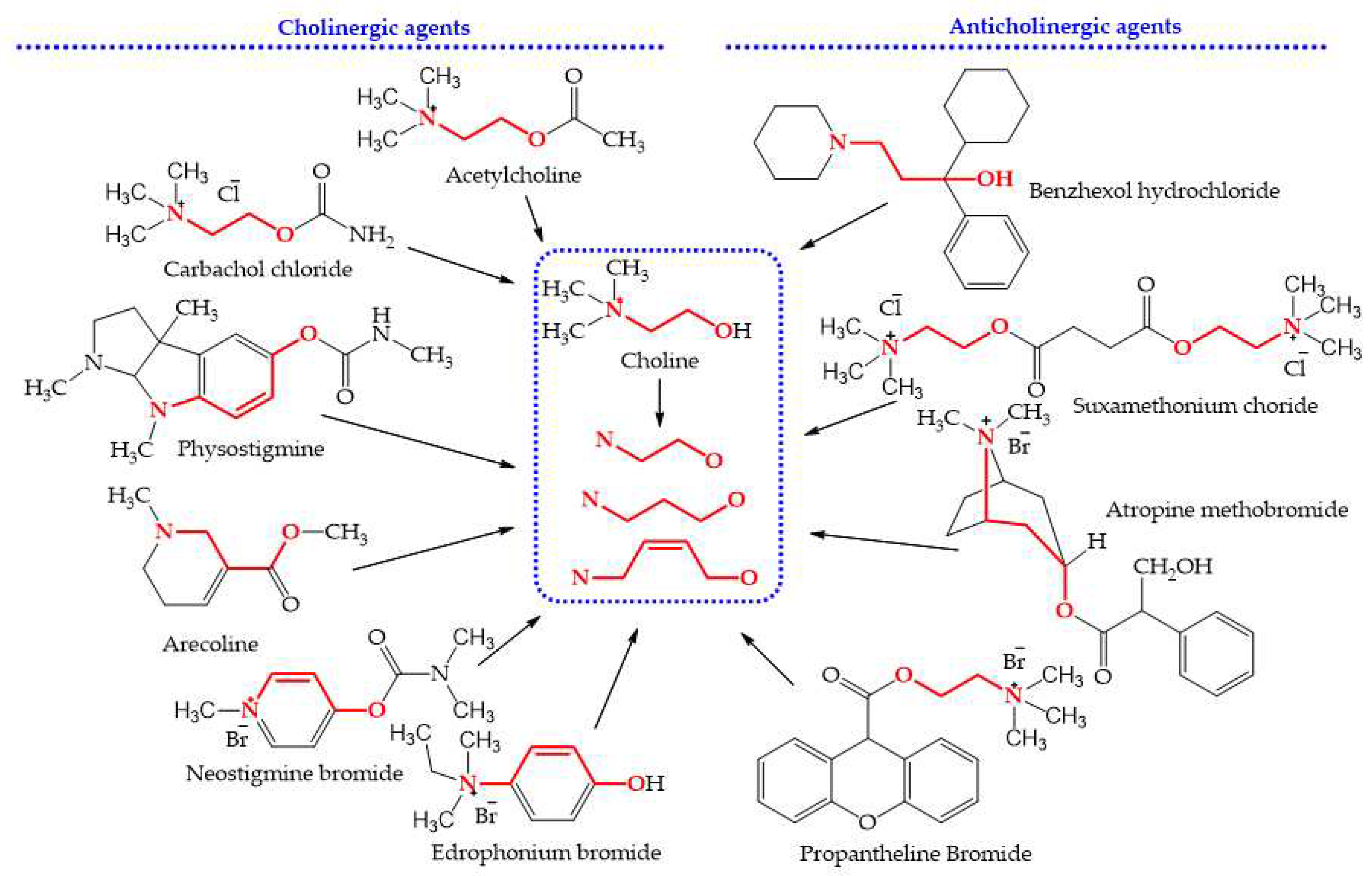 Preprints 70095 g001