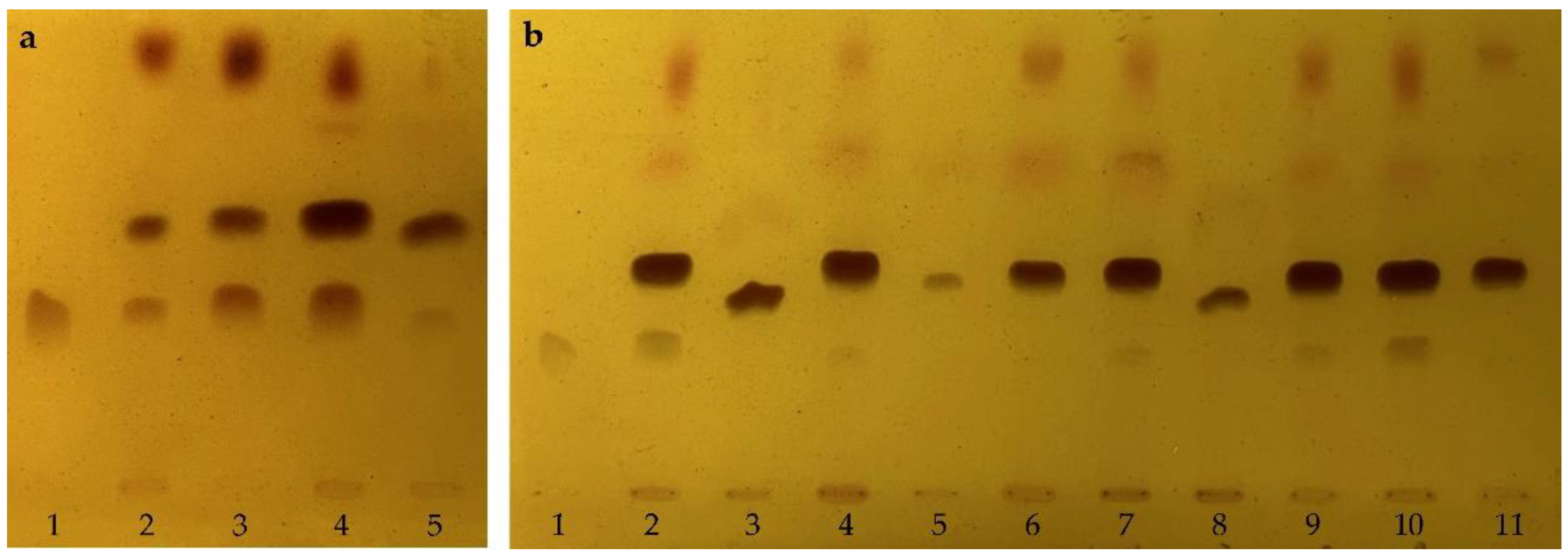 Preprints 70095 g002