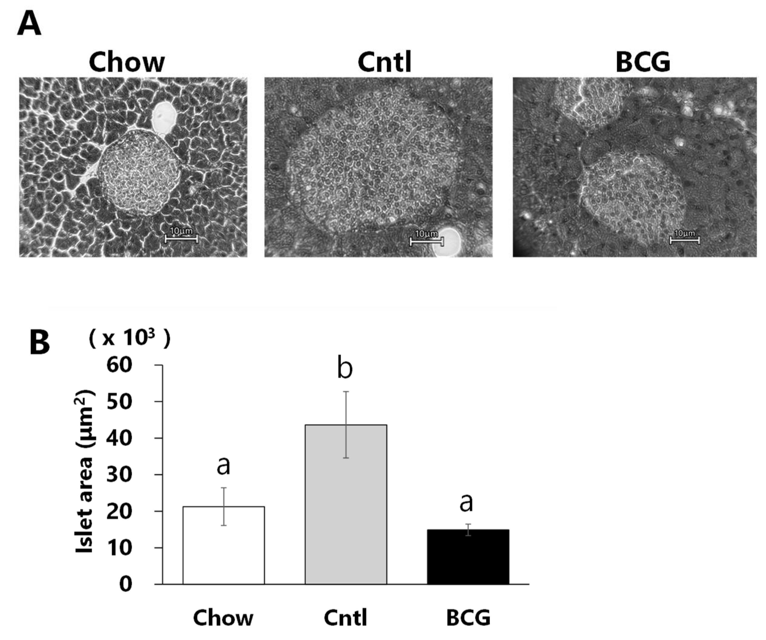 Preprints 106183 g003