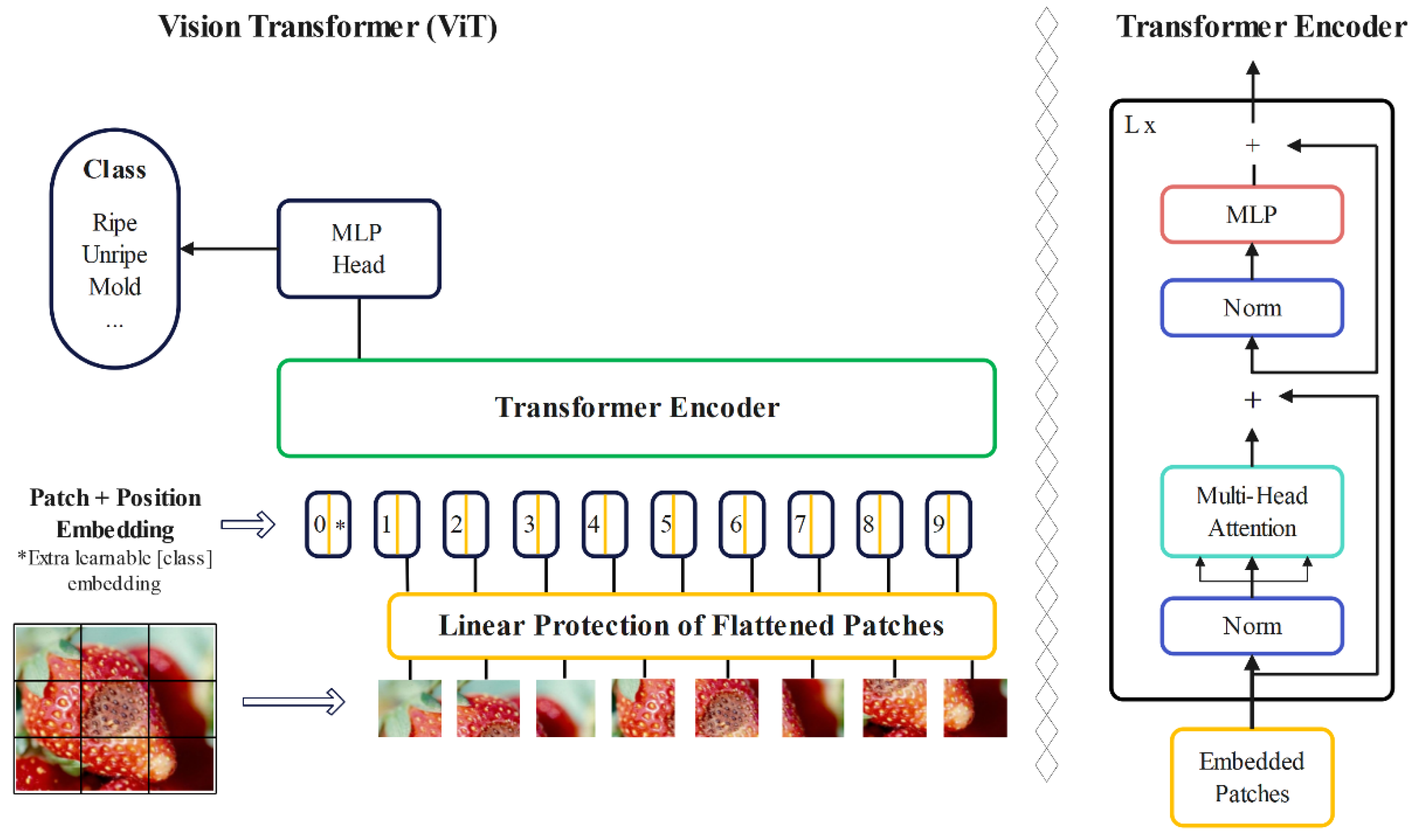 Preprints 105050 g004