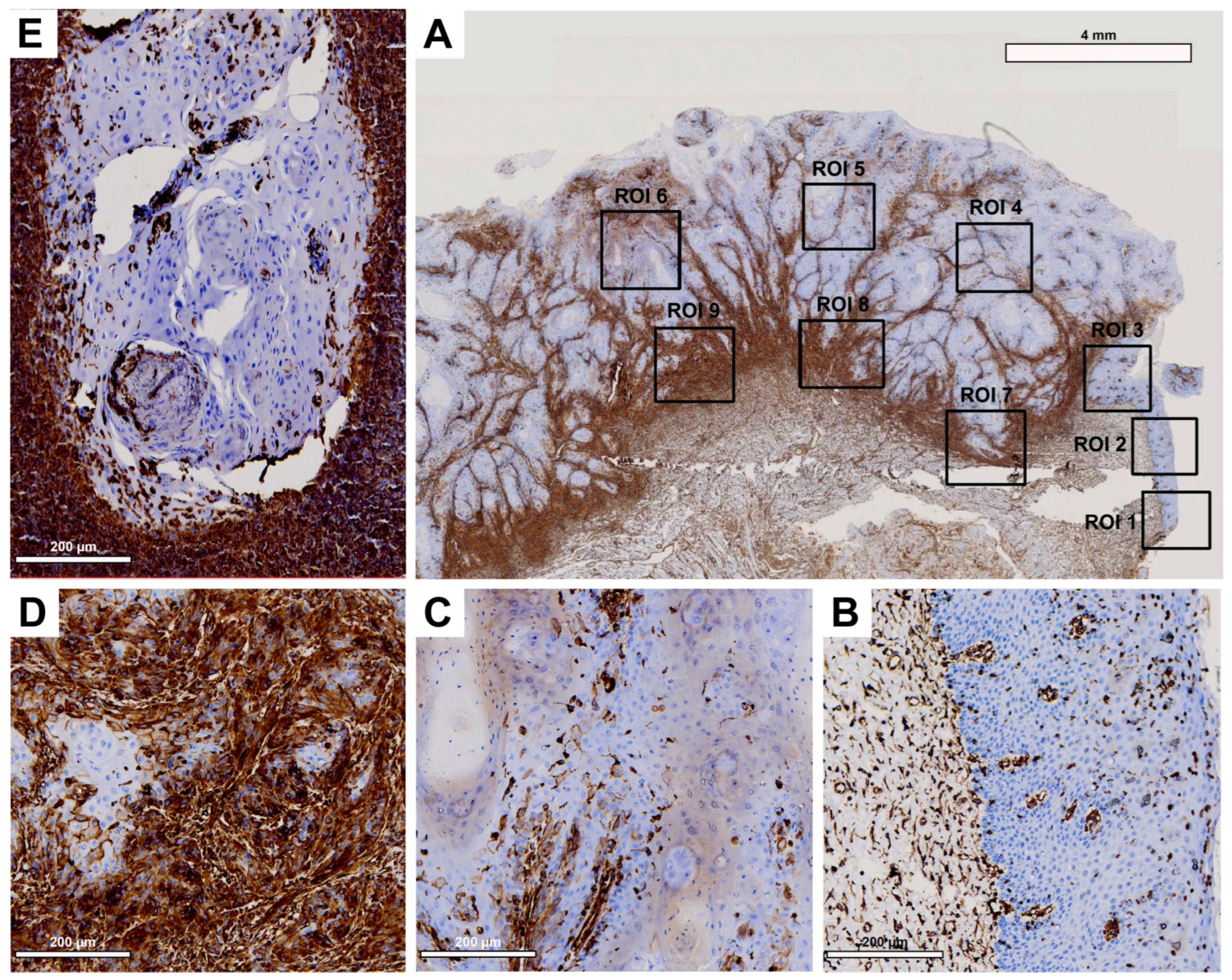 Preprints 84185 g005