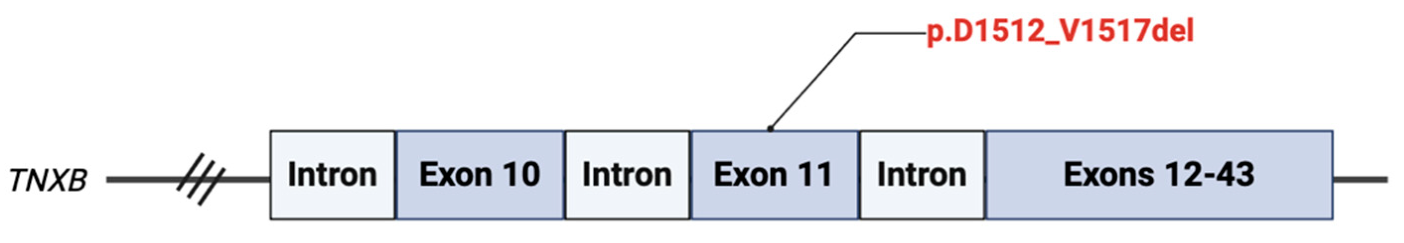 Preprints 115527 g002